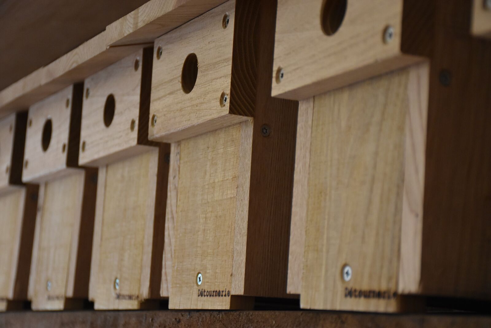 Nikon D5500 sample photo. Nest box, wood photography