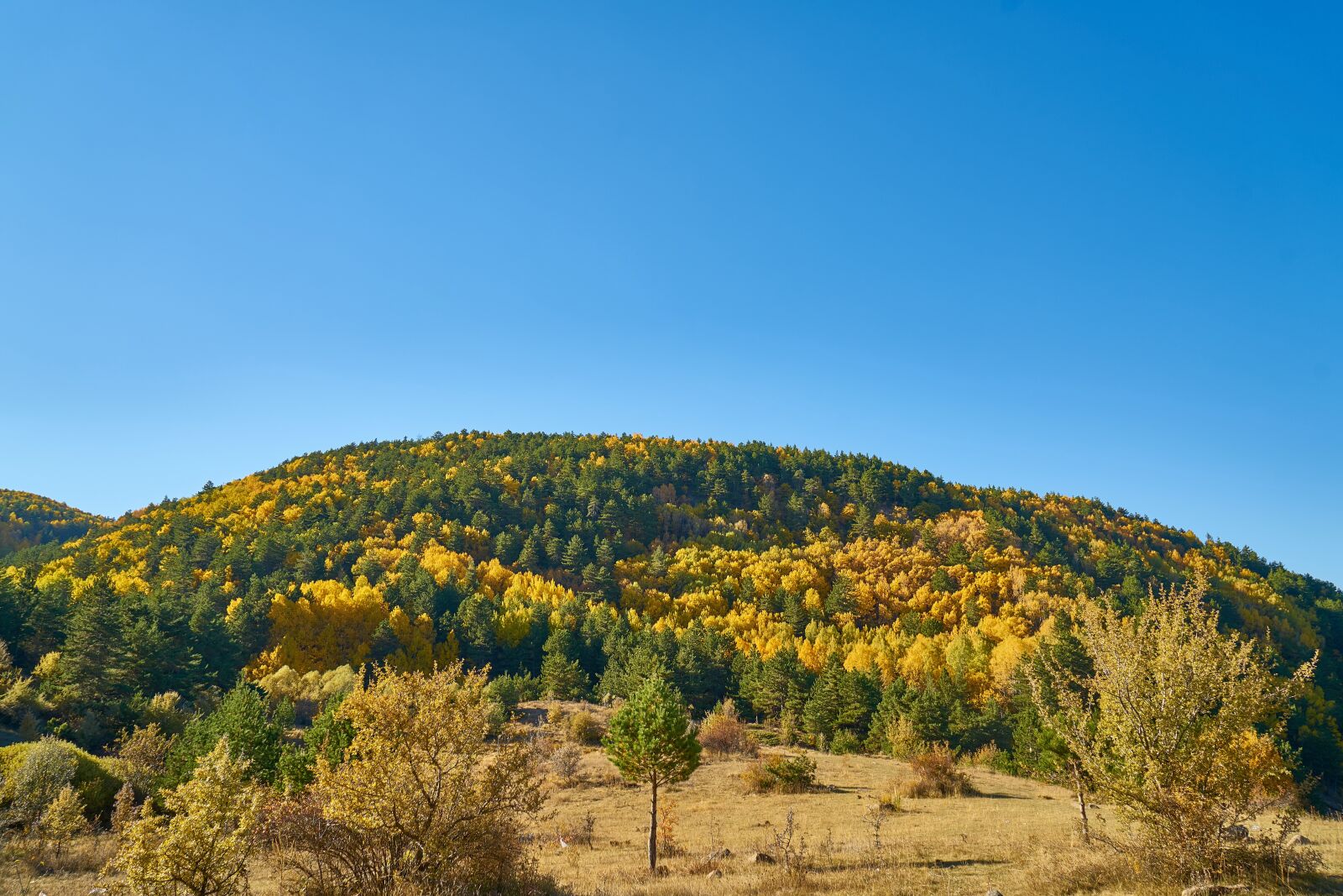 Sony a7R II sample photo. Autumn, season, landscape photography