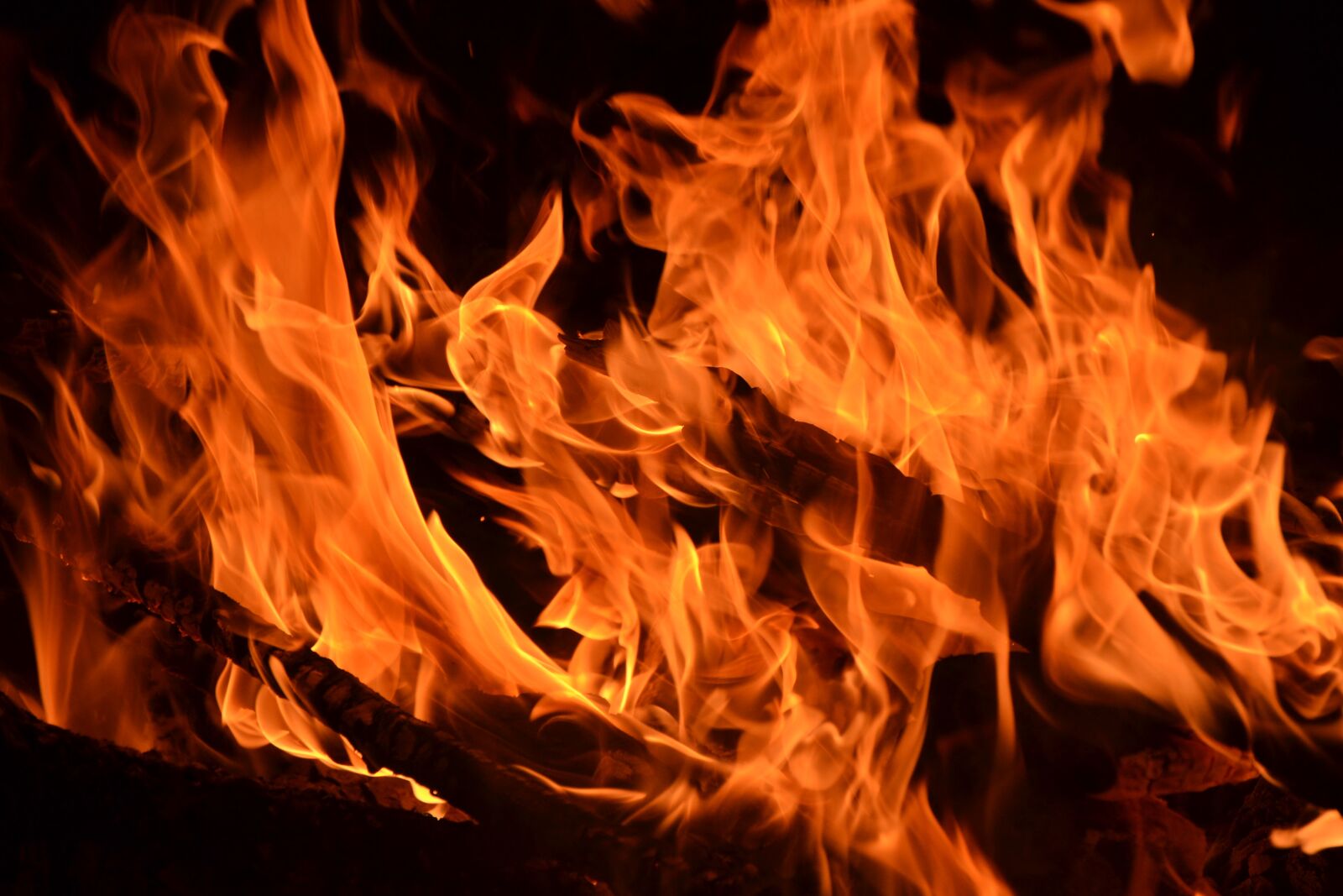 Nikon D3100 sample photo. Flame, fire, flame log photography