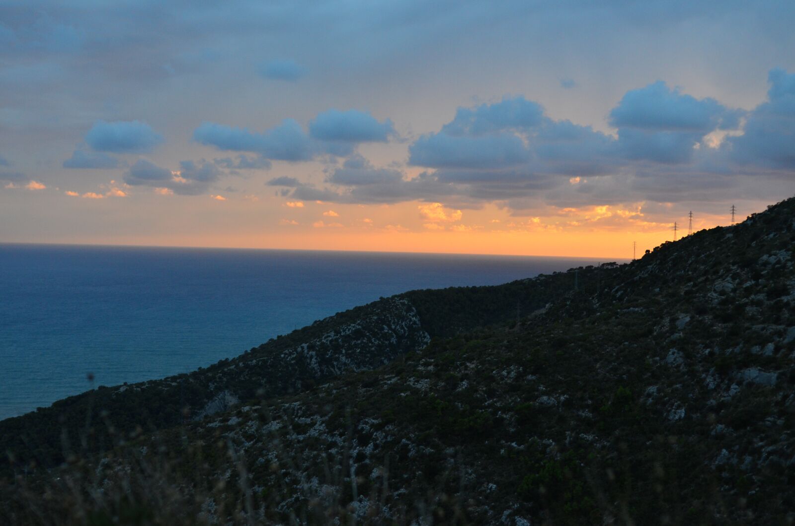 Nikon D5100 sample photo. Free for commercial use photography