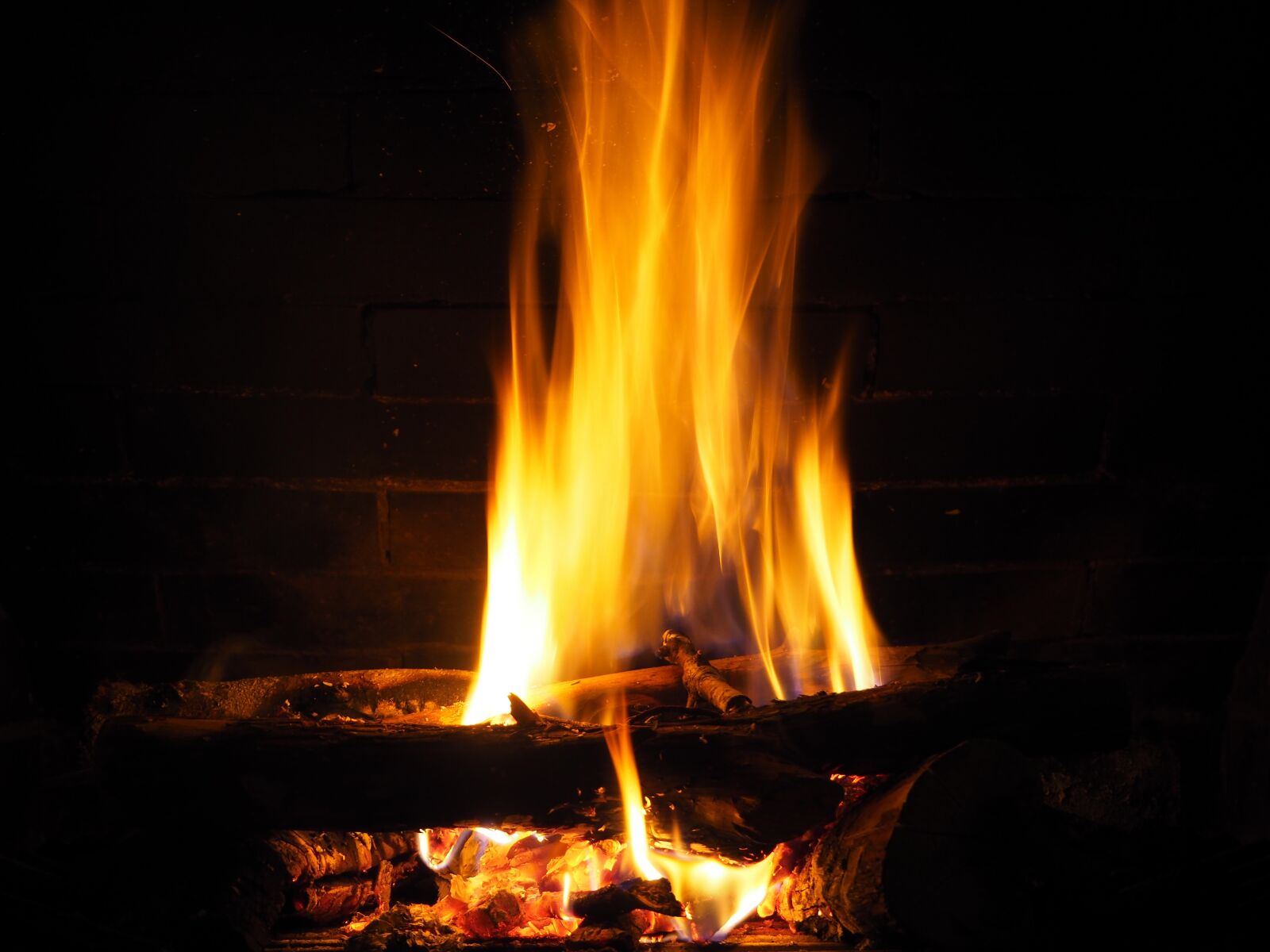 Olympus OM-D E-M10 II sample photo. Ashes, embers, fire photography