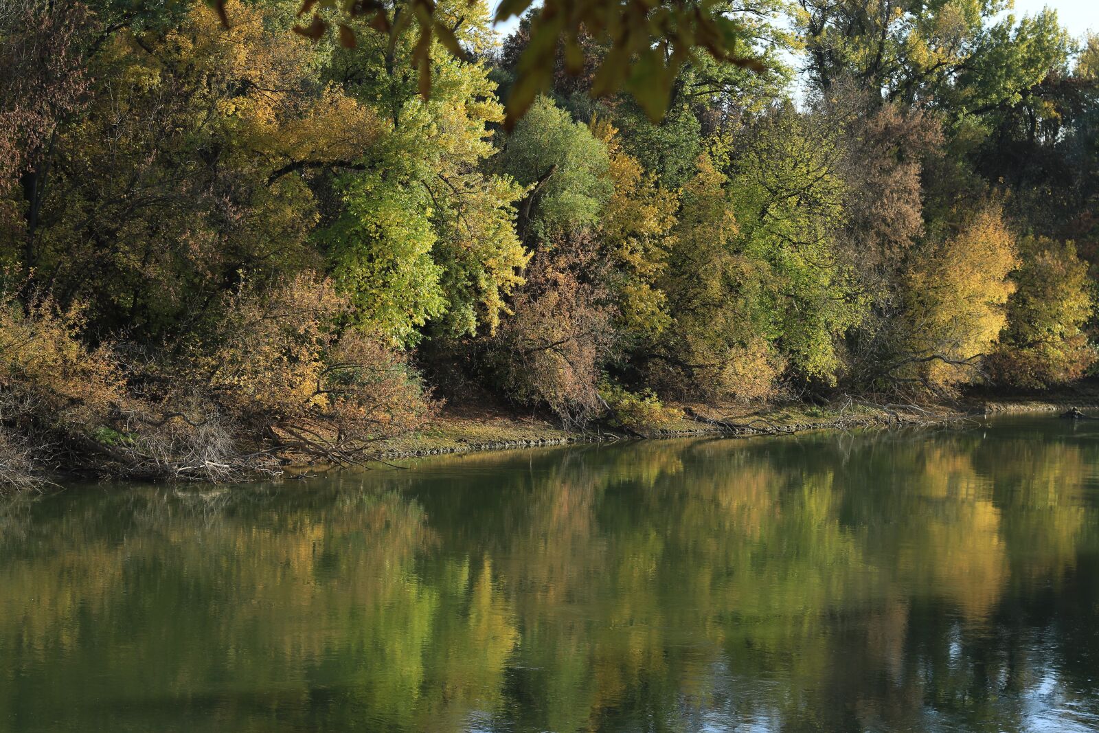 Canon EOS 7D Mark II sample photo. Nature, body of water photography