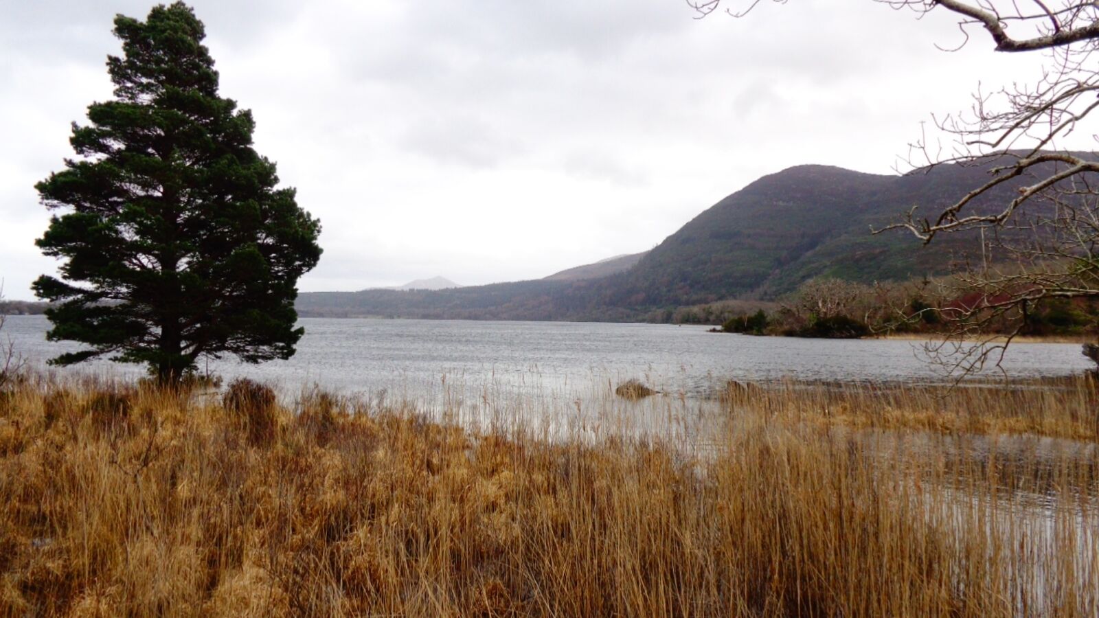 Sony Cyber-shot DSC-W730 sample photo. Muckross lake, ireland, wanderlust photography