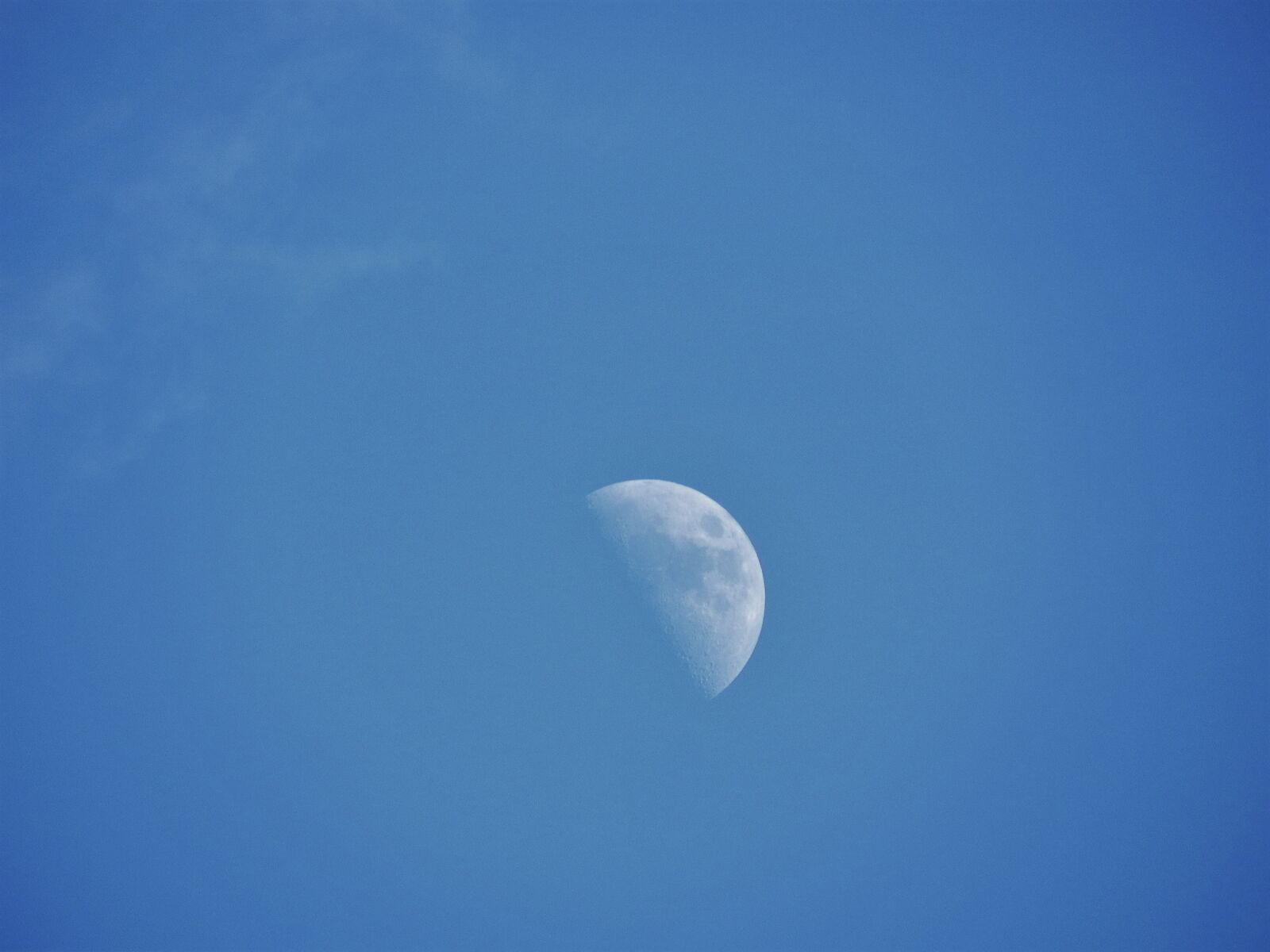 Nikon Coolpix P100 sample photo