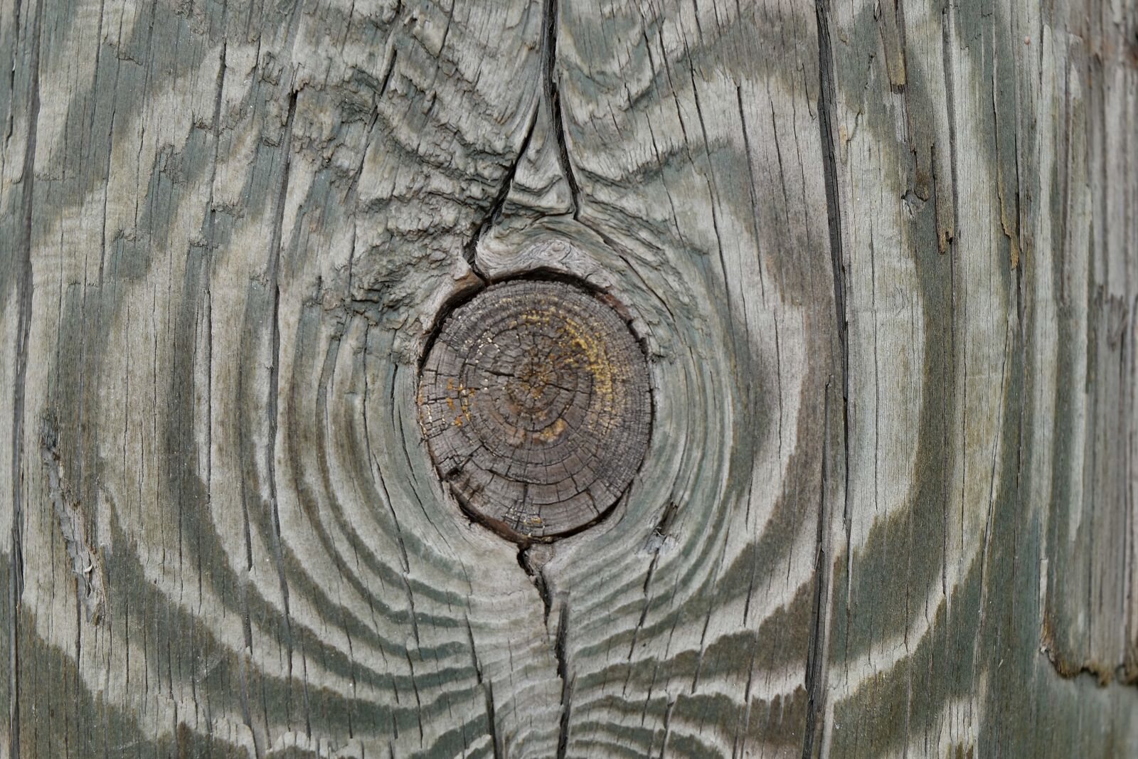 Nikon D5500 sample photo. Detail, knot, wood, texture photography