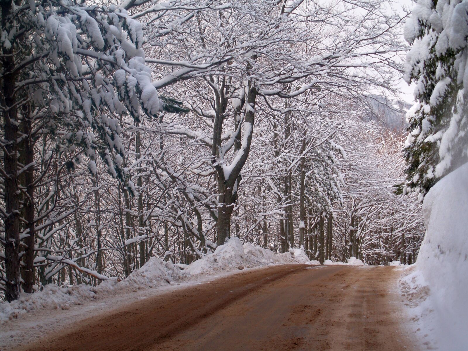 Olympus E-500 (EVOLT E-500) sample photo. Nature, winter, mountain photography