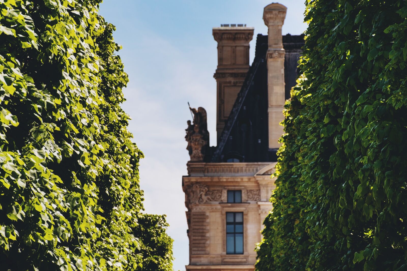 Nikon D5600 sample photo. Paris, tuileries garden, louvre photography