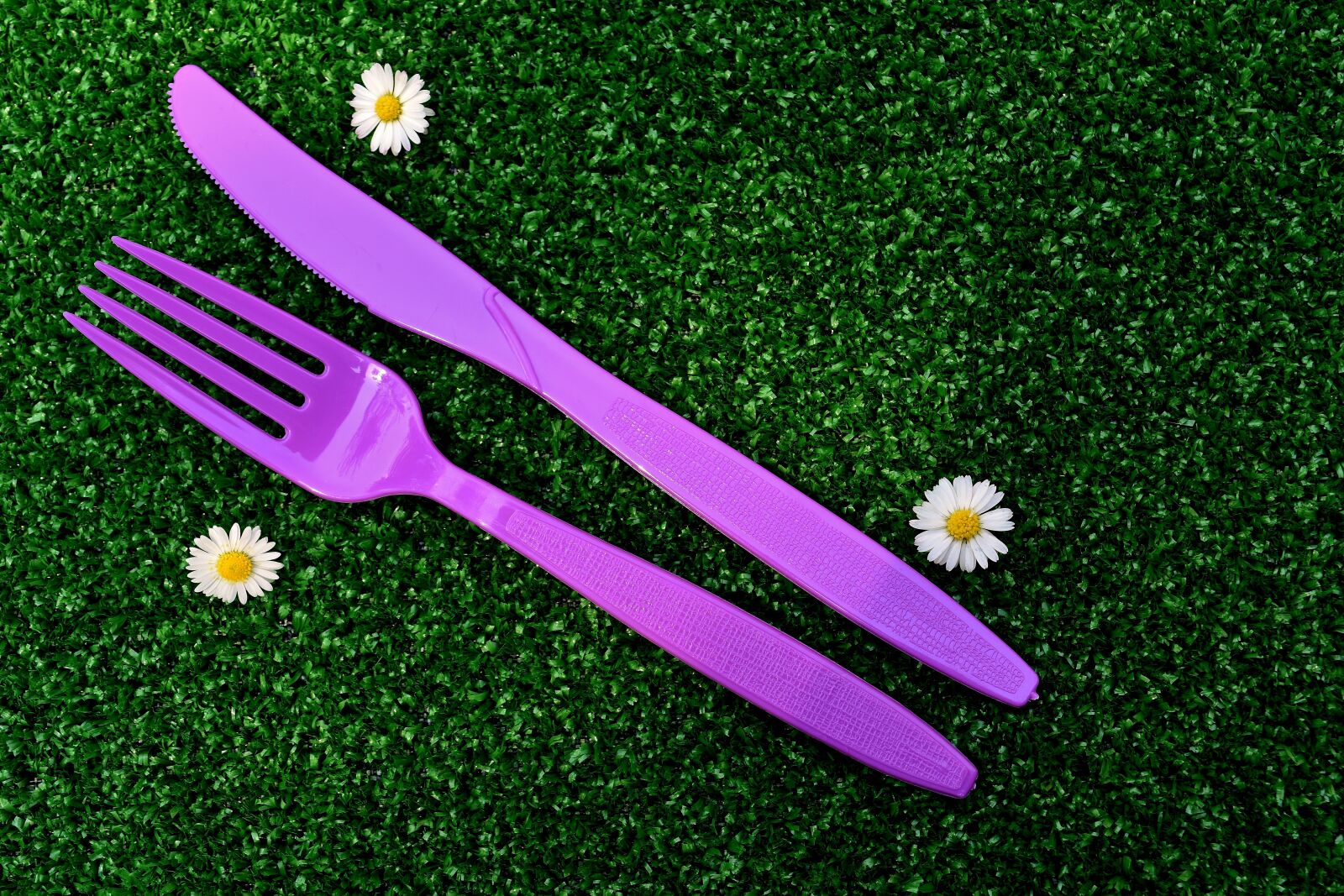 Nikon D7200 sample photo. Picnic, cutlery, plastic photography