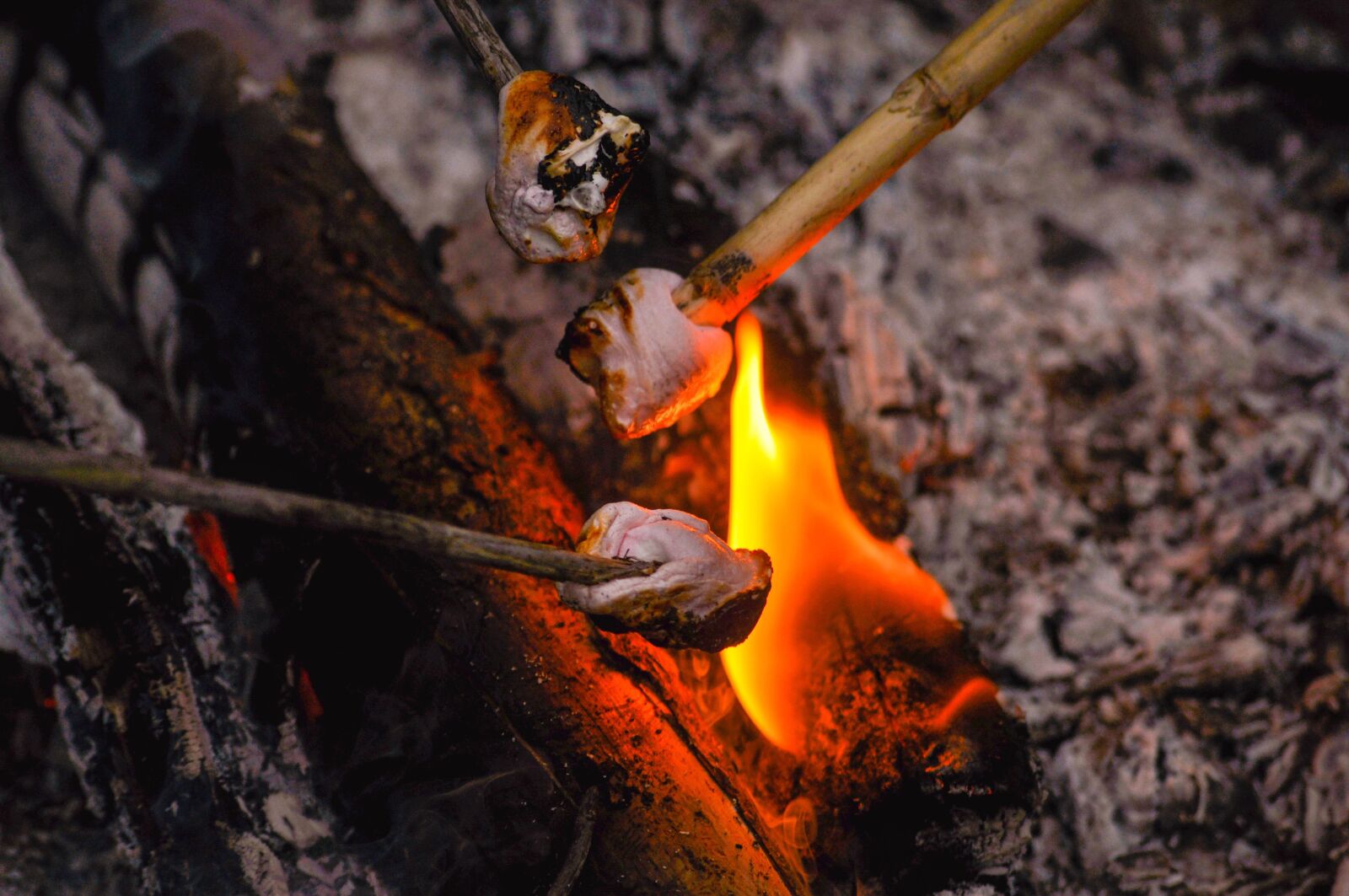 Nikon D90 sample photo. Marshmallows, burning, roasting photography