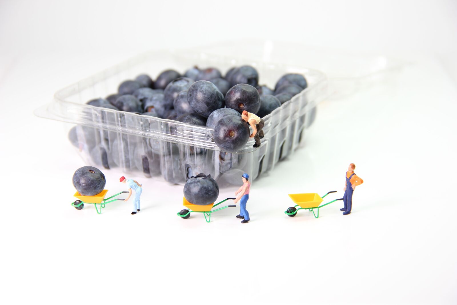 Canon EOS 550D (EOS Rebel T2i / EOS Kiss X4) sample photo. Blueberries, transport, miniature figures photography