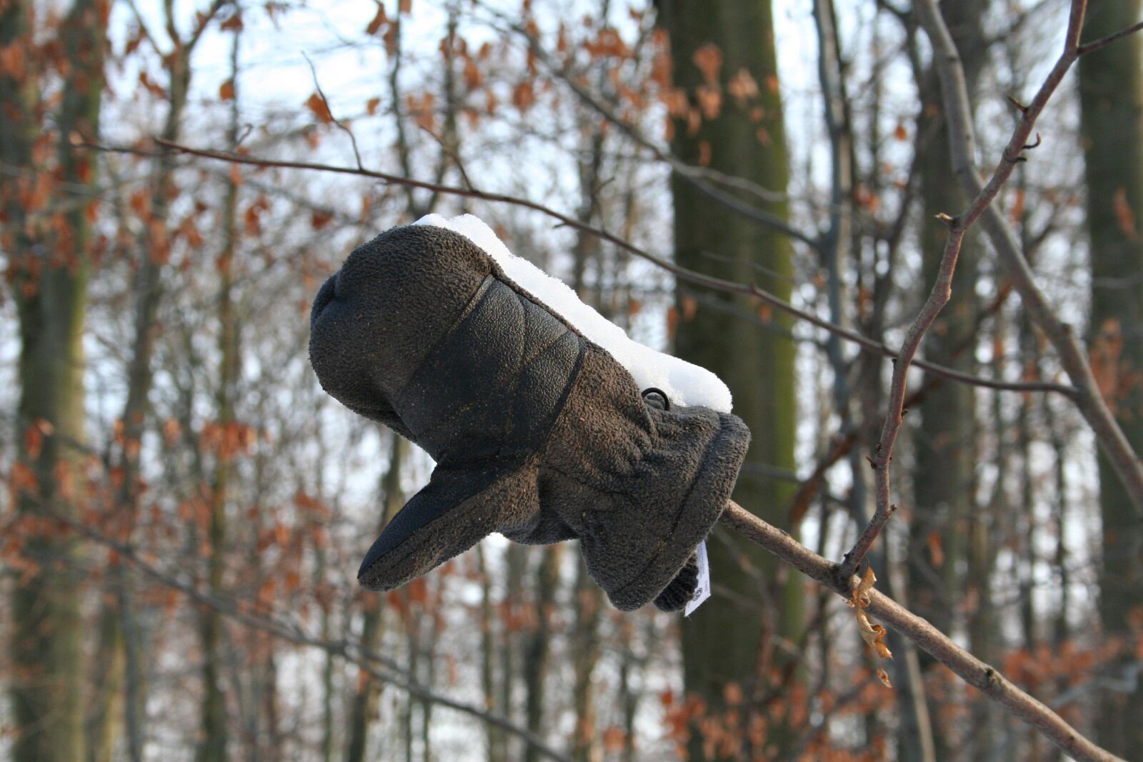 Canon EOS 350D (EOS Digital Rebel XT / EOS Kiss Digital N) sample photo. Snow, winter, glove photography