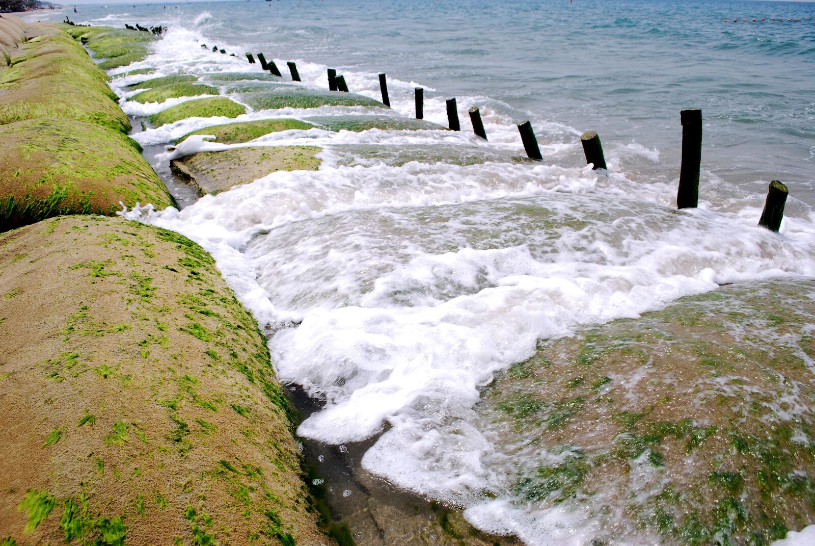 Nikon D60 sample photo. The sea, dai, hoi photography