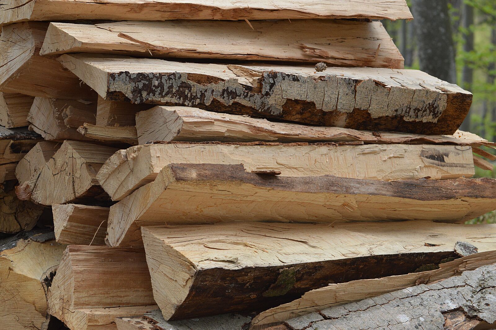 Nikon D3200 sample photo. Wood, tree, firewood photography
