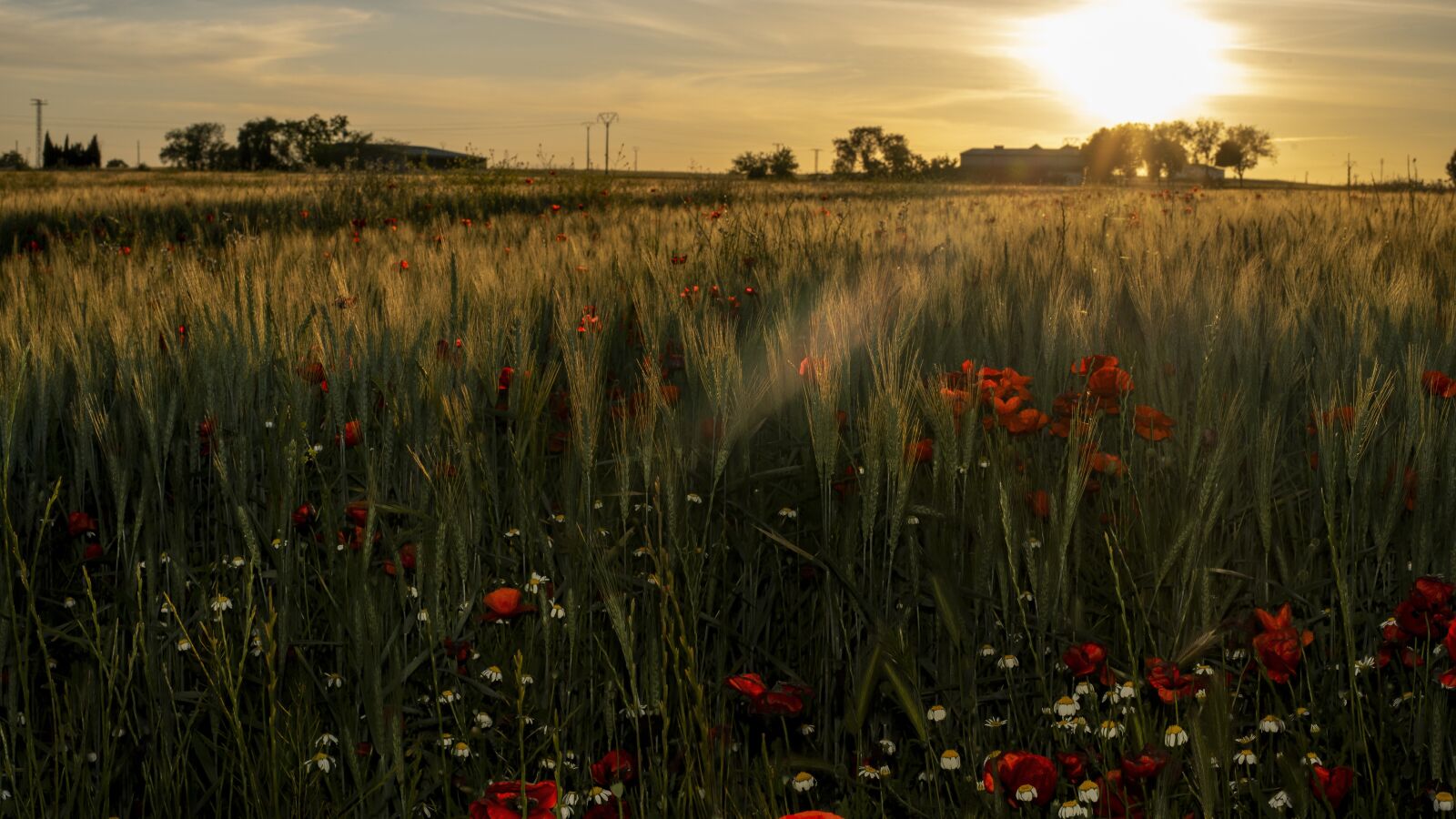 Nikon D750 sample photo. Sun, sunset, landscape photography