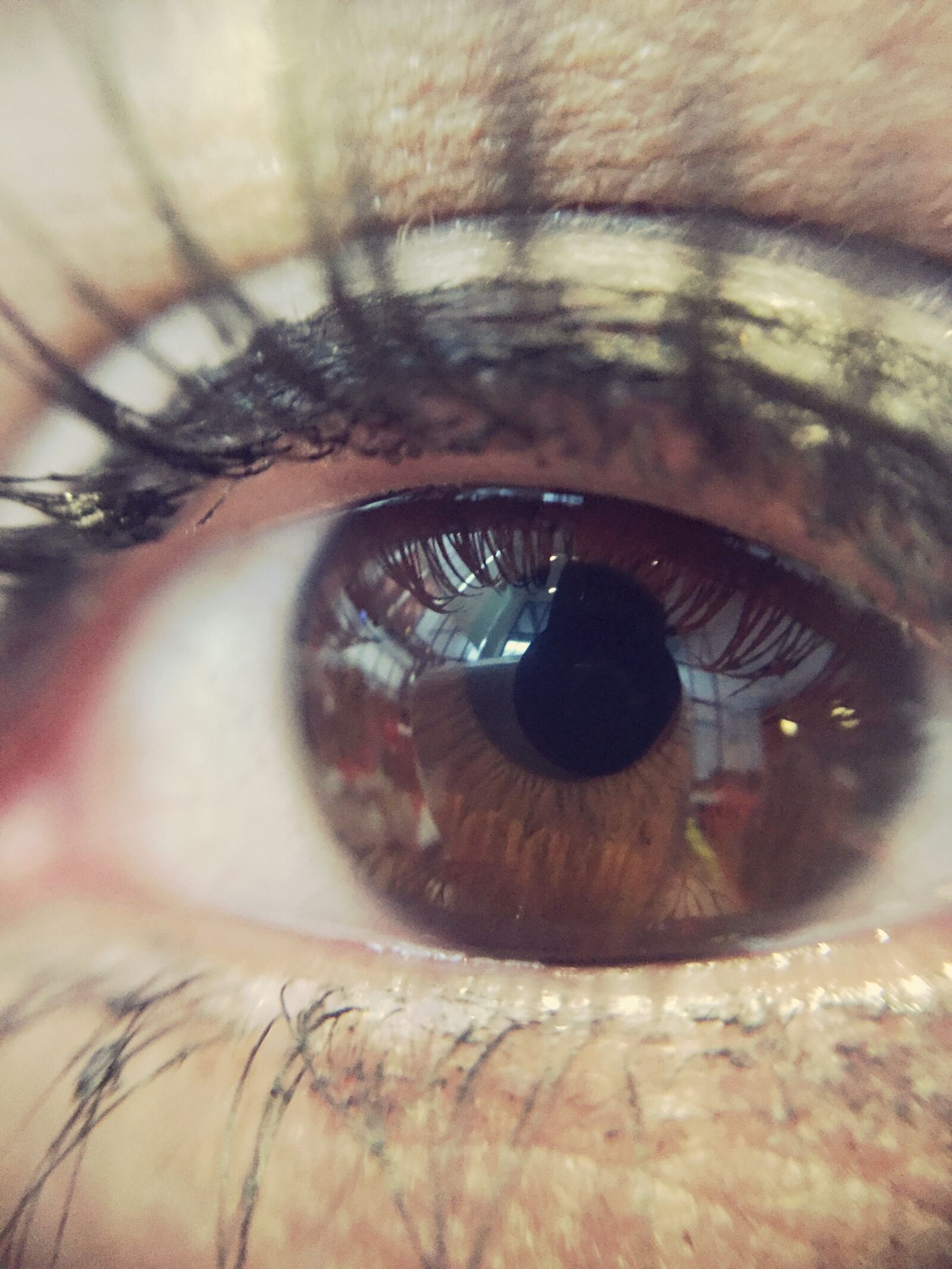 Apple iPhone 6 sample photo. Eye, macro photography