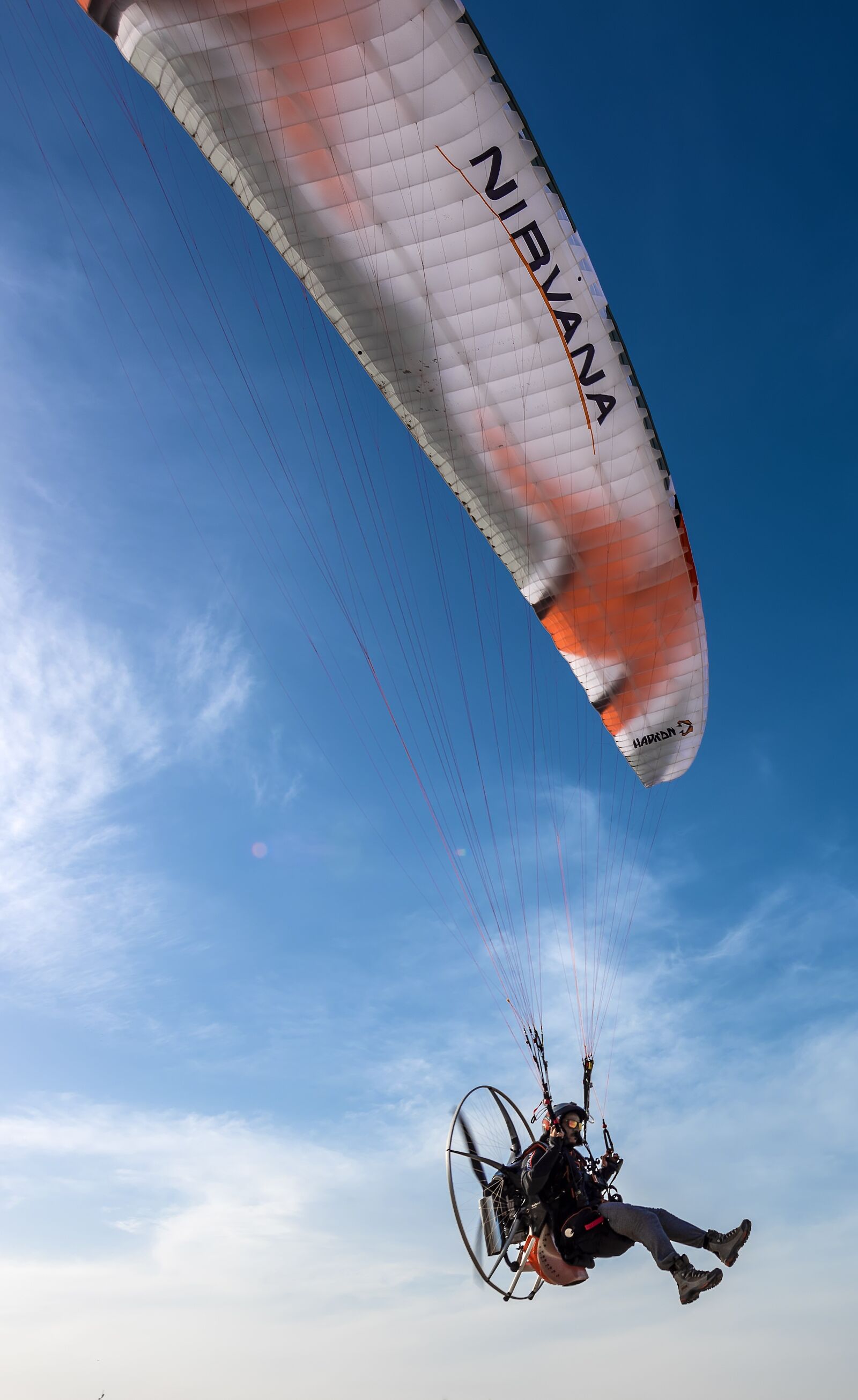 Nikon D810 sample photo. Paragliding, parachute, sky photography