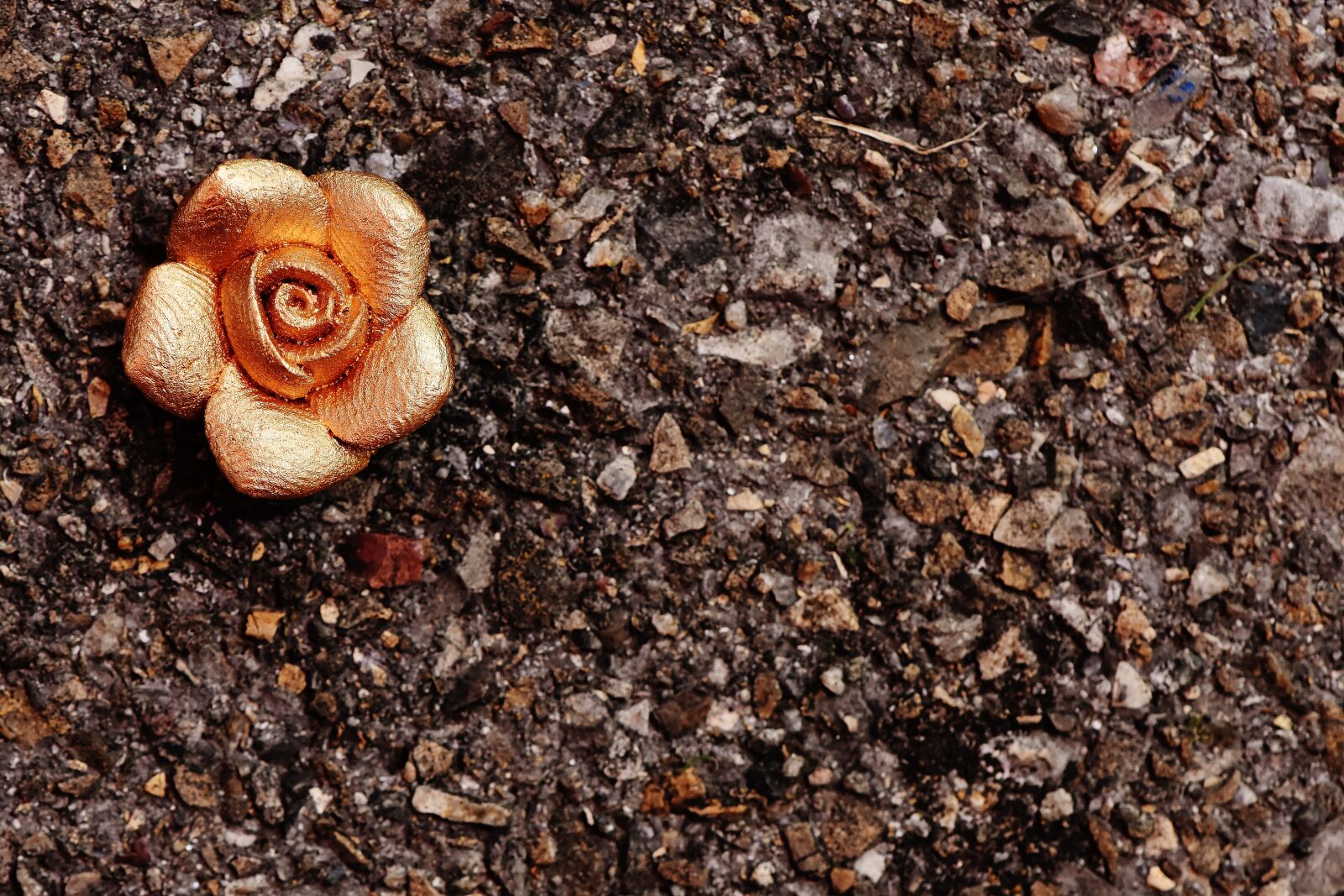 Nikon D7200 sample photo. Rose, gold, blossom photography