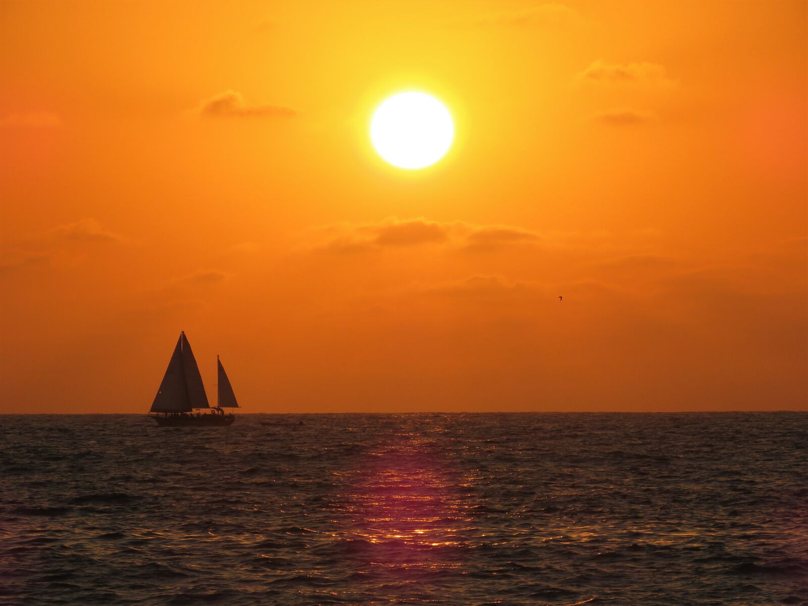 Canon PowerShot SX60 HS sample photo. Sunset, sailboat, puerto vallarta photography