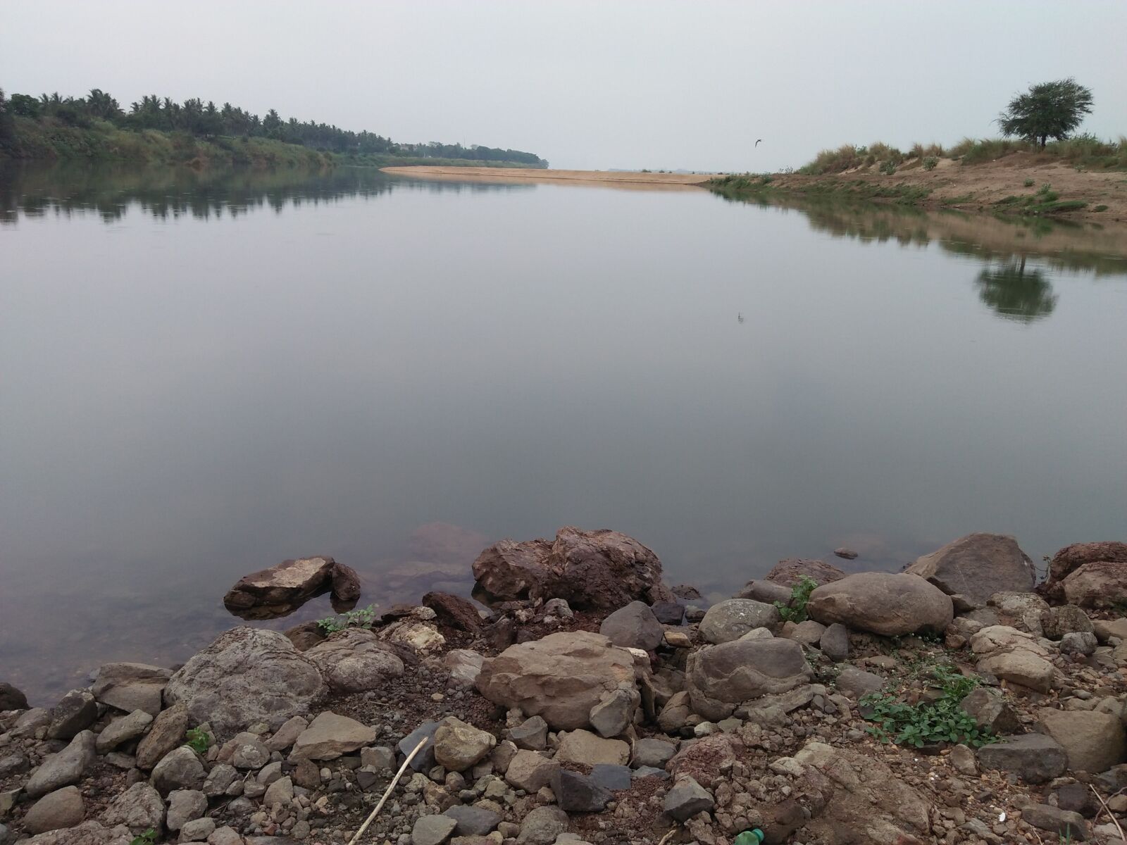 OPPO A37fw-International sample photo. River, water, nature photography