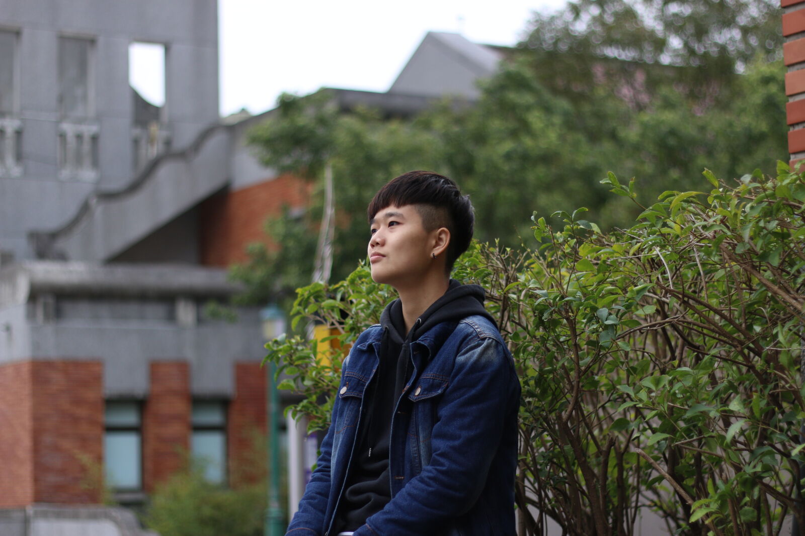 Canon EOS 70D + Canon EF 50mm F1.8 II sample photo