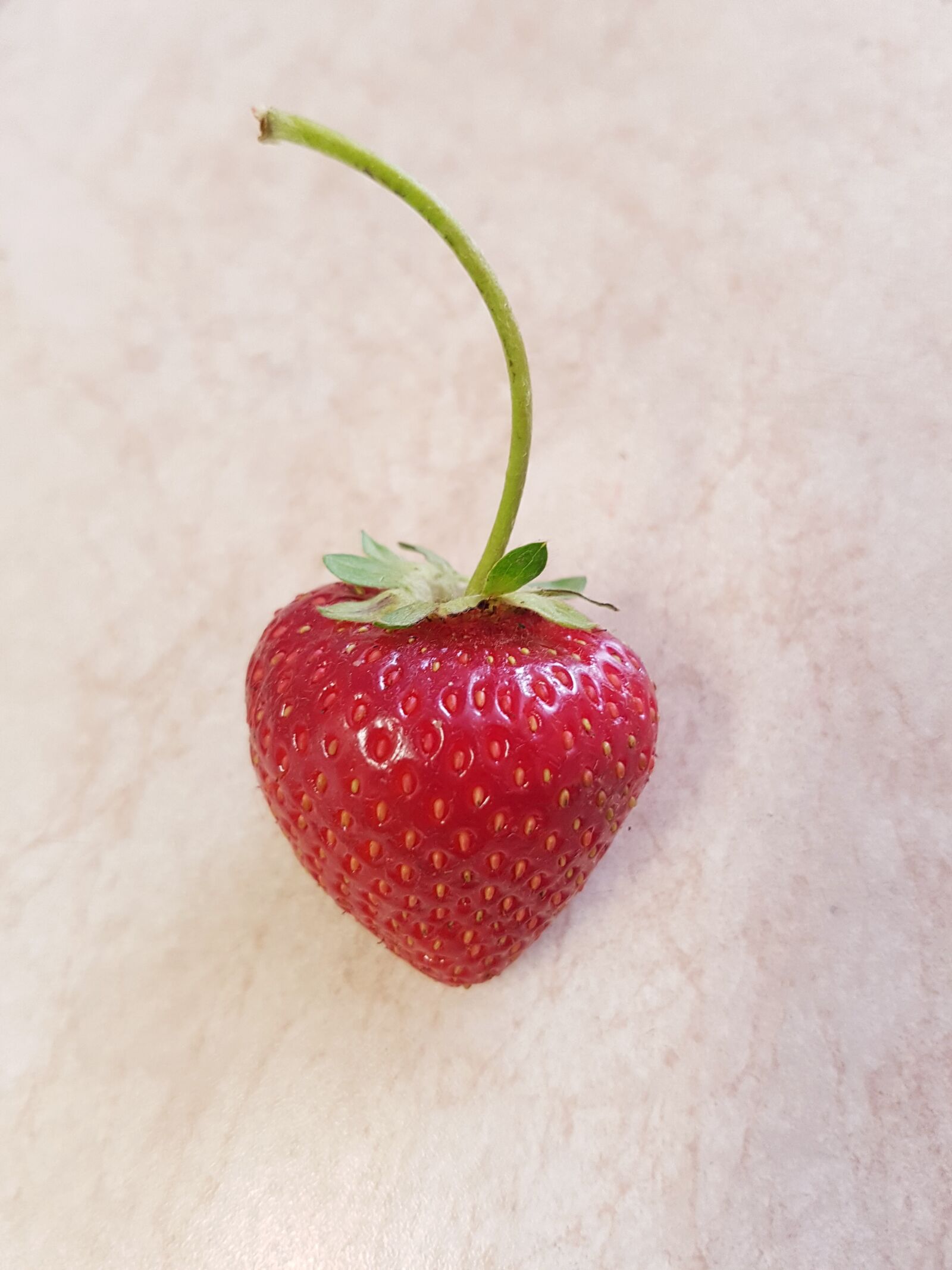 Samsung Galaxy S7 Edge sample photo. Strawberry, close-up, red photography