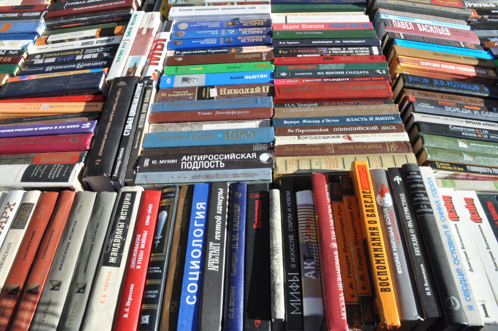 Nikon D5000 sample photo. Books, library, reading, russian photography