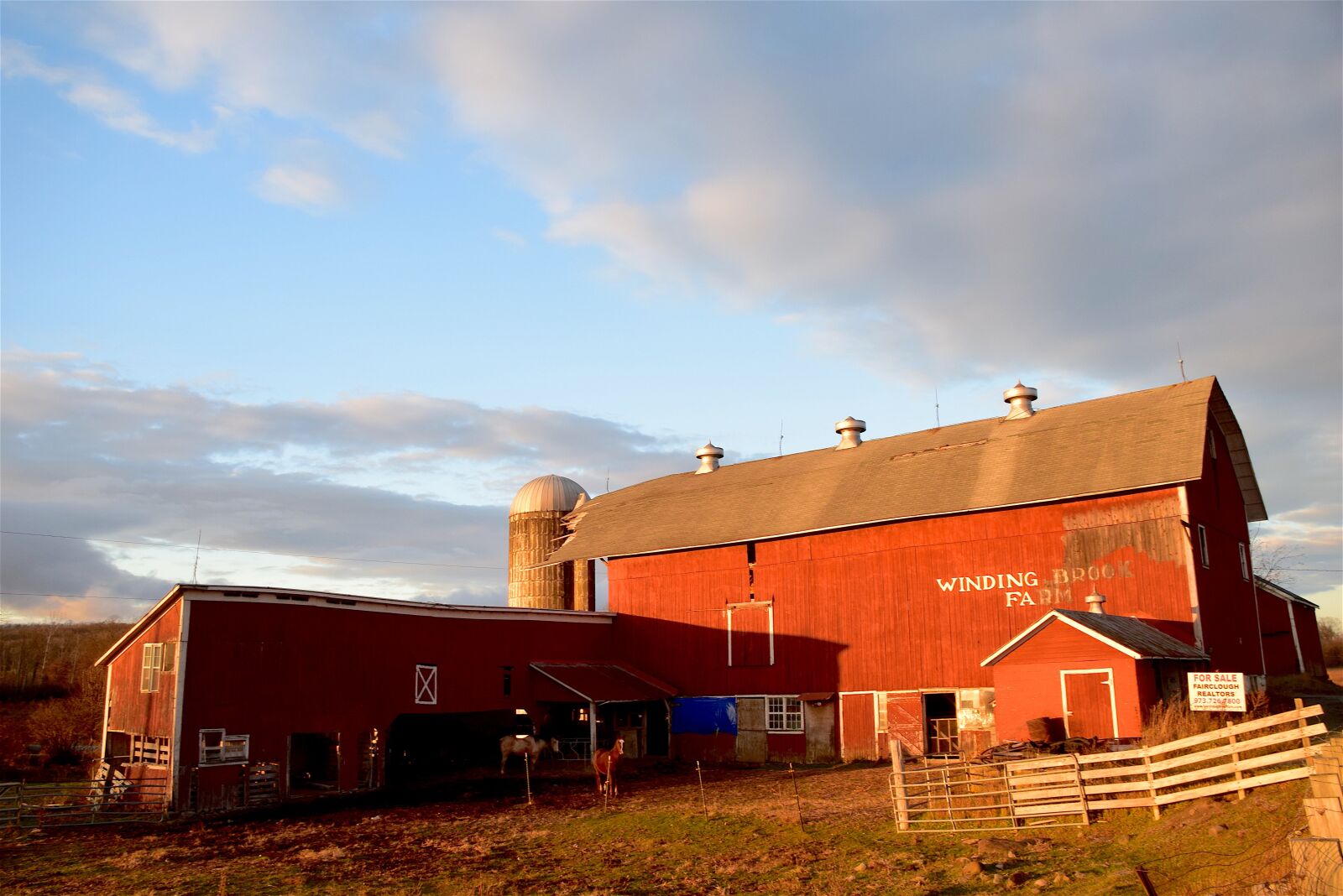 Nikon D3300 sample photo. Bran, rural, farm photography