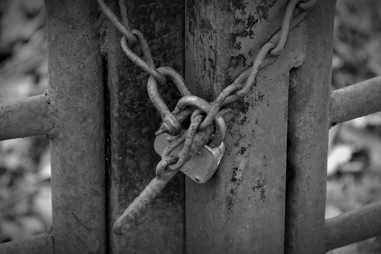 Nikon D5200 sample photo. Security, wood, old photography