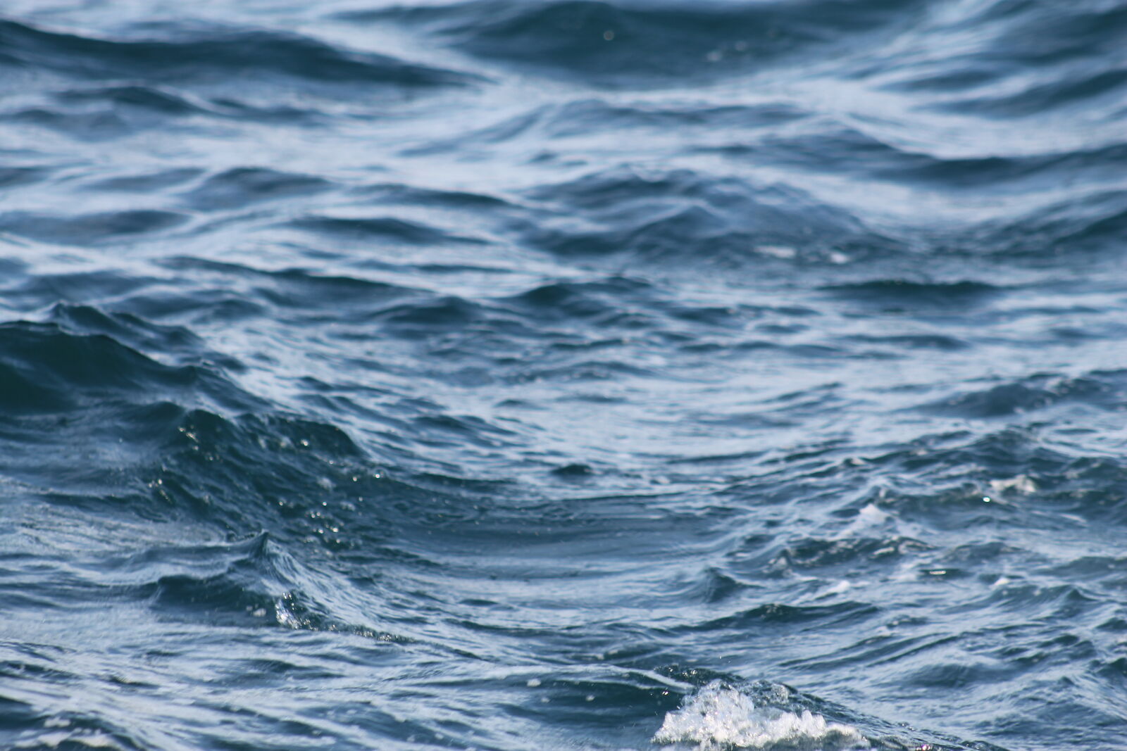Canon EF 75-300mm f/4-5.6 sample photo