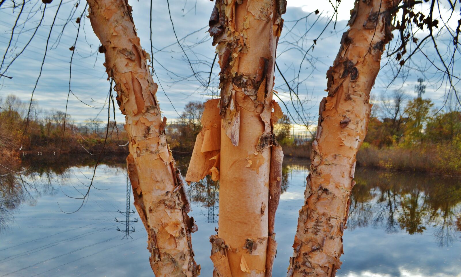 Nikon D5100 sample photo. Urban, city, greenville photography