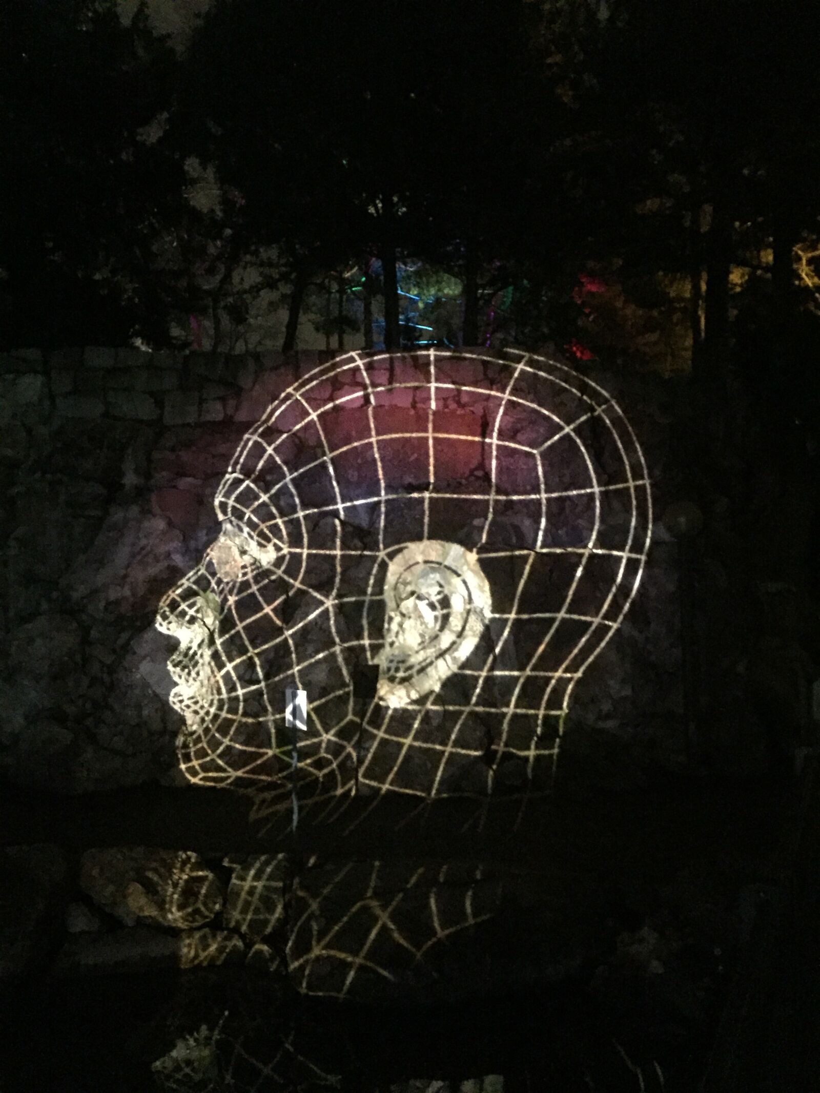 iPhone 6 Plus back camera 4.15mm f/2.2 sample photo. Head, light, skull photography
