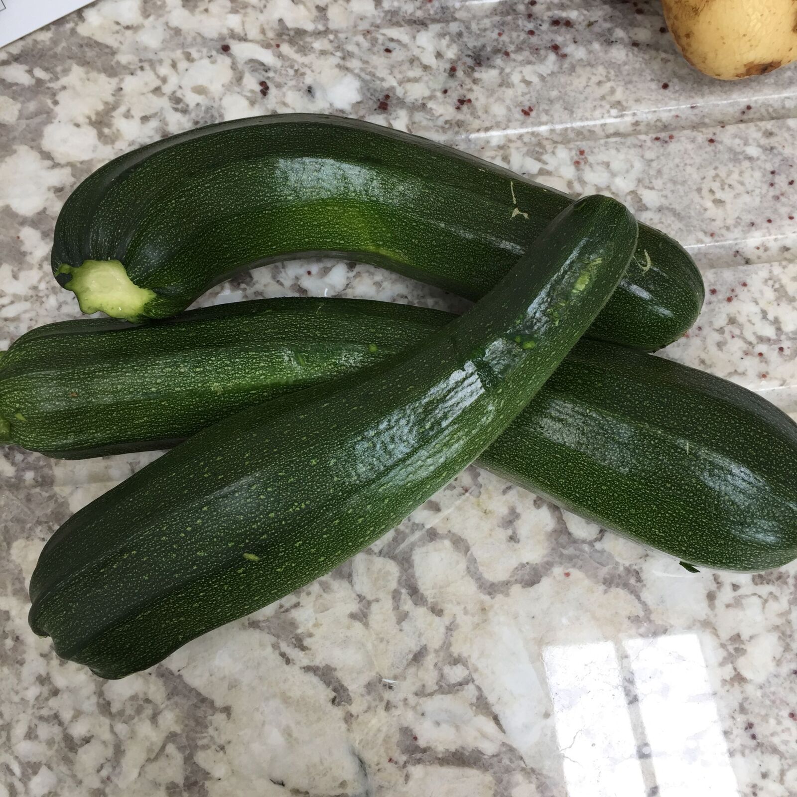 Apple iPhone 6 sample photo. Courgettes photography