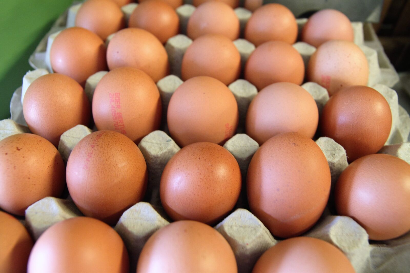 Canon EOS 500D (EOS Rebel T1i / EOS Kiss X3) sample photo. Eggs, shop, dairy photography