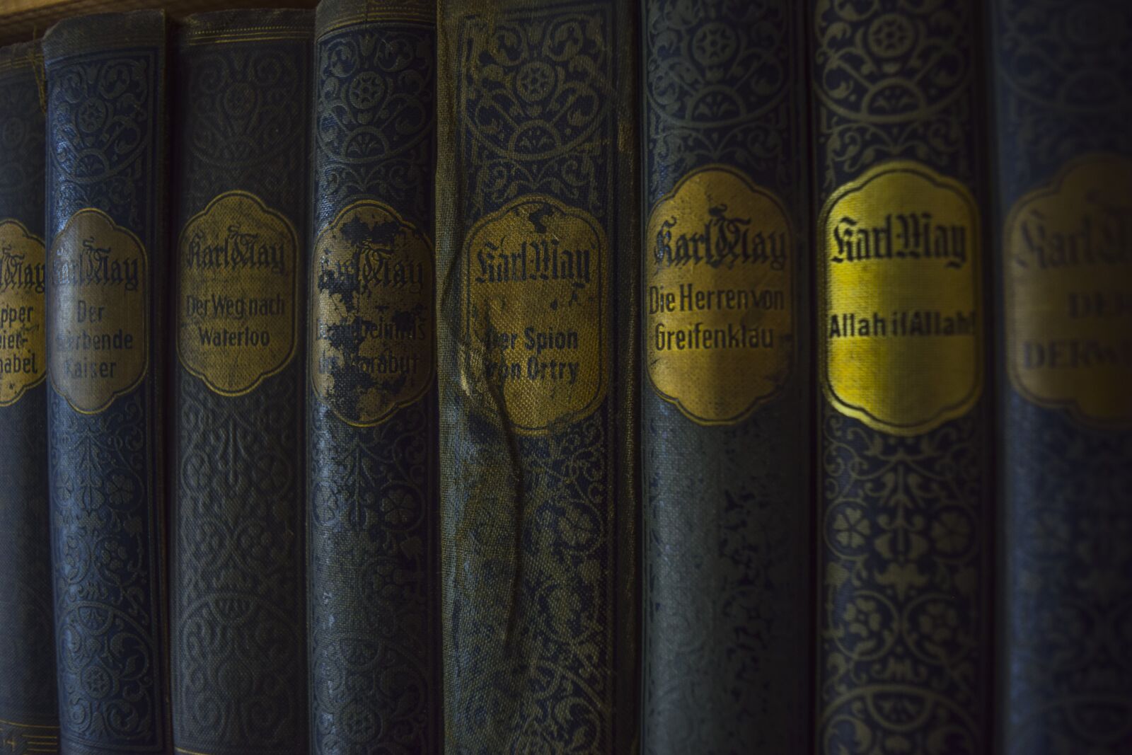 Nikon D3300 sample photo. Books, spine, old photography