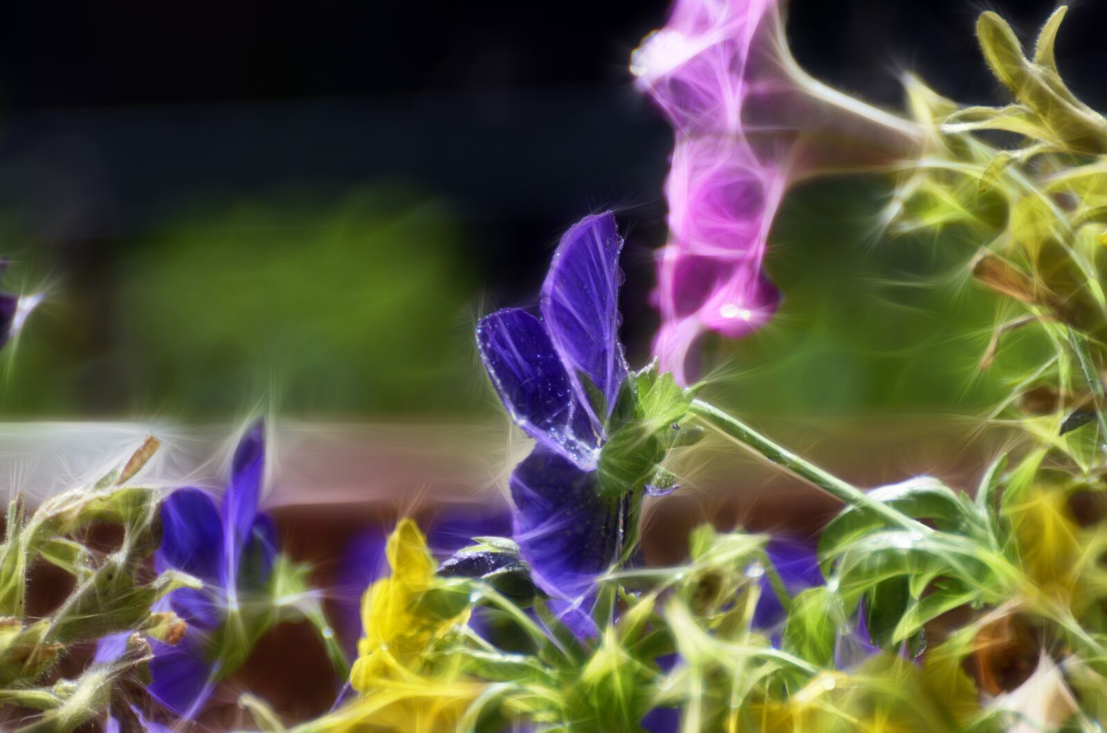 Nikon D7000 sample photo. Desktop, leaf, nature photography