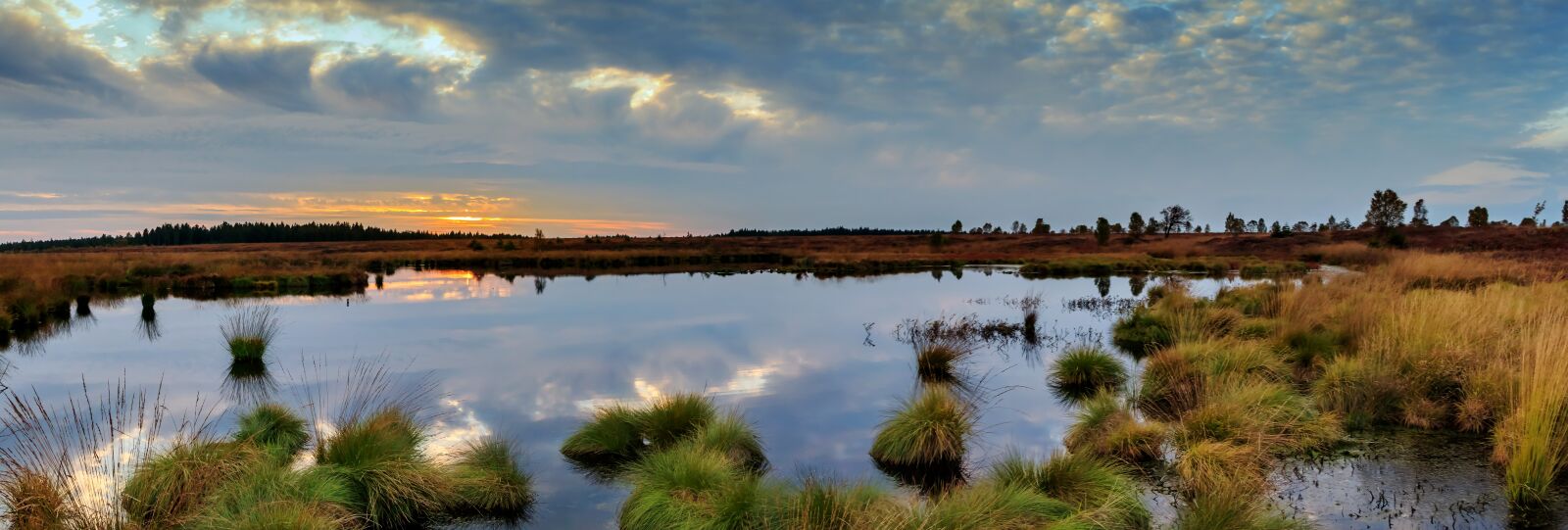 Canon EOS 80D sample photo. Panorama, moor, swamp photography
