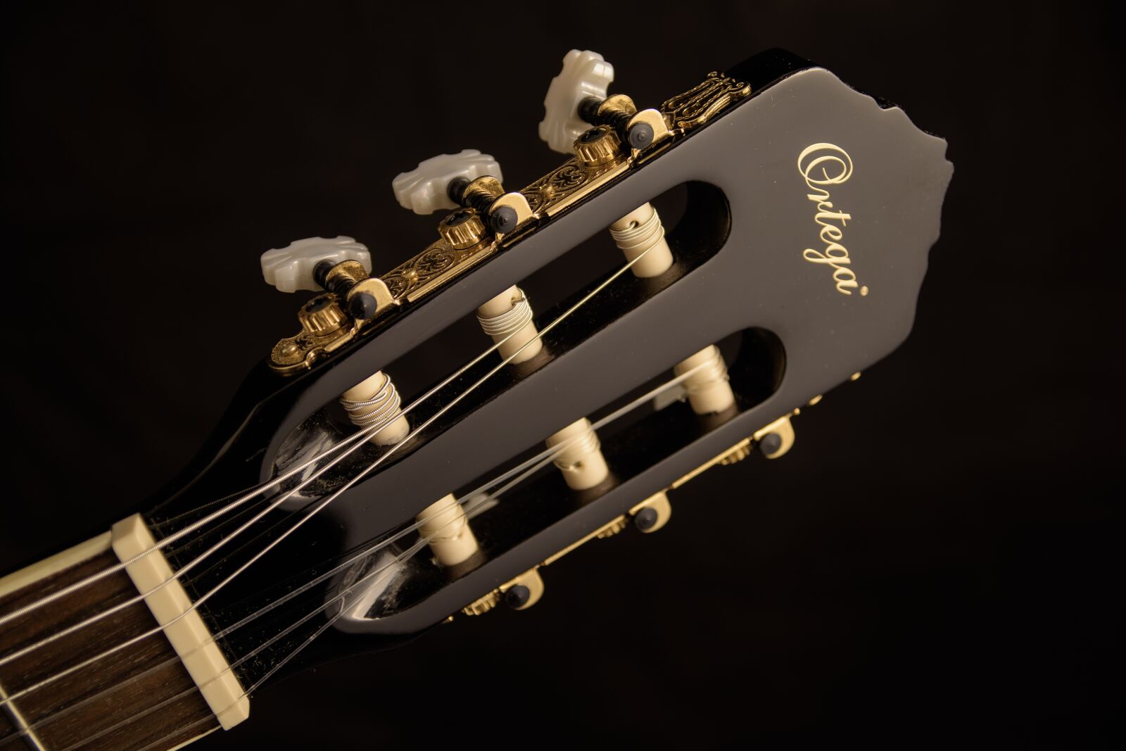 Nikon D5500 sample photo. Guitar, guitar head, musical photography