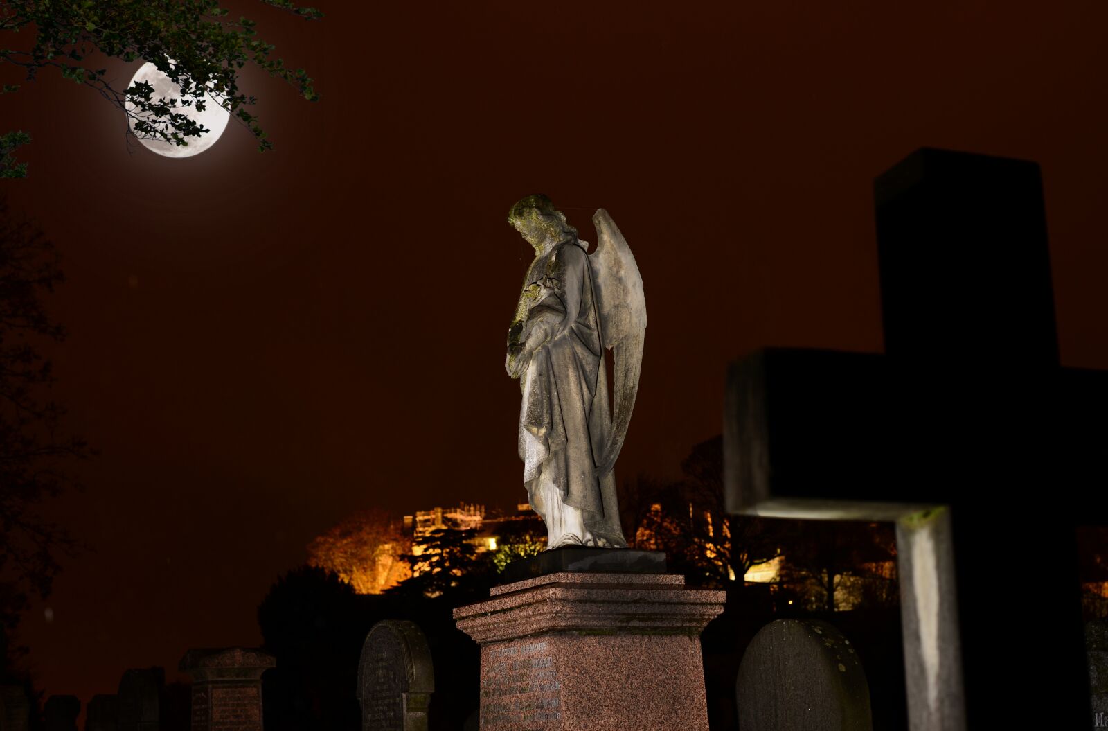 Nikon D800 sample photo. Cemetery, stirling, scotland photography