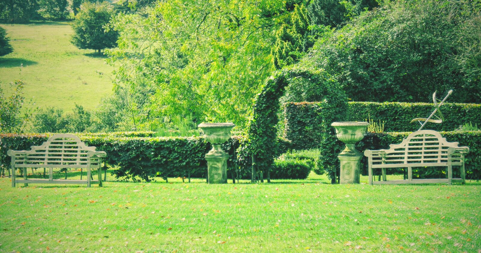 Canon PowerShot SX410 IS sample photo. Garden, grass, prairie photography