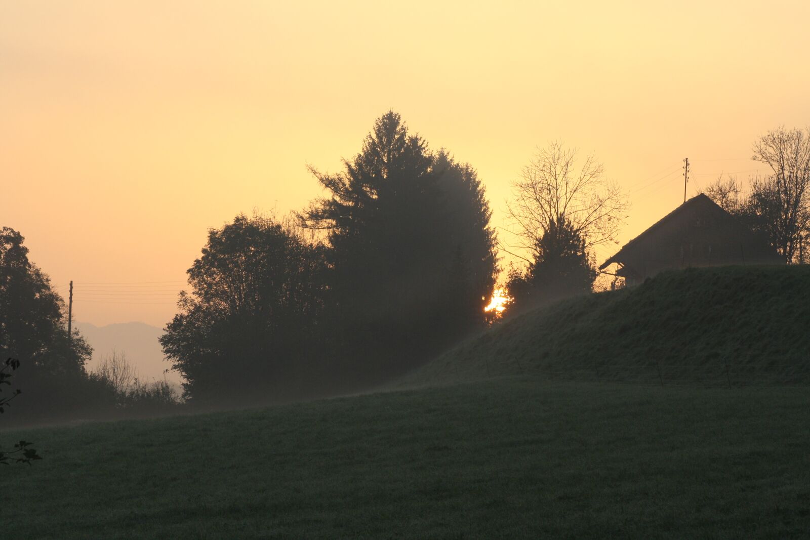 Canon EOS 1000D (EOS Digital Rebel XS / EOS Kiss F) sample photo. Sun, morning, meadow photography