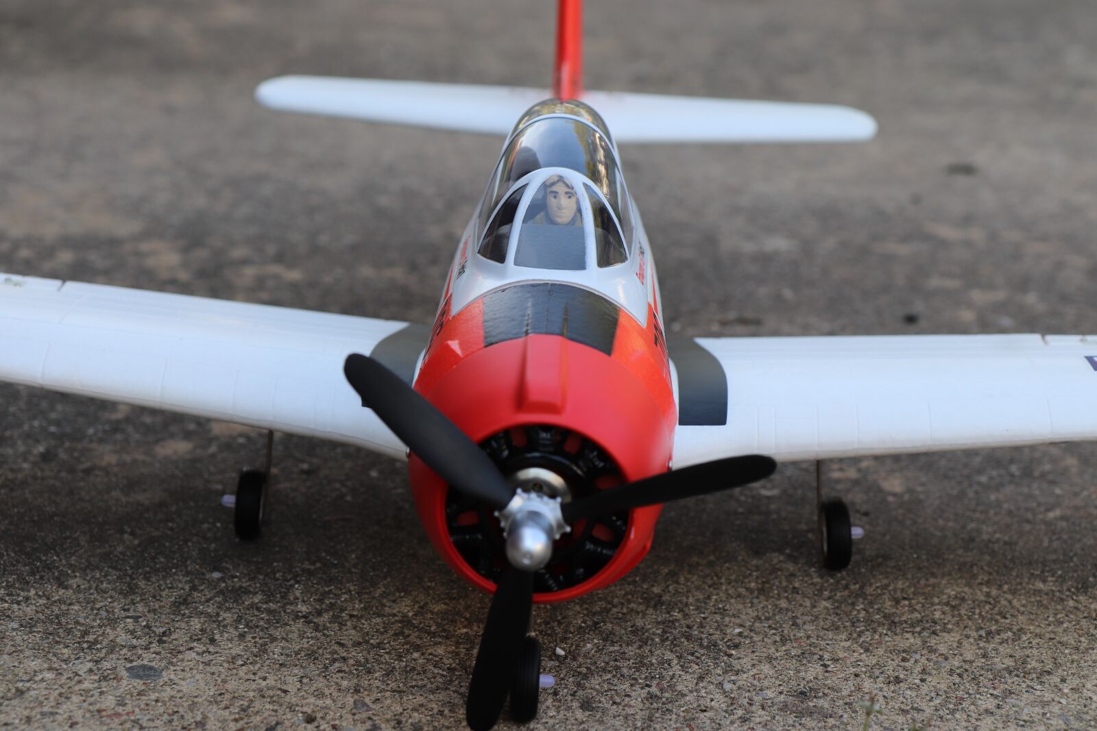 Canon EOS 800D (EOS Rebel T7i / EOS Kiss X9i) sample photo. Aircraft, model, modelling photography