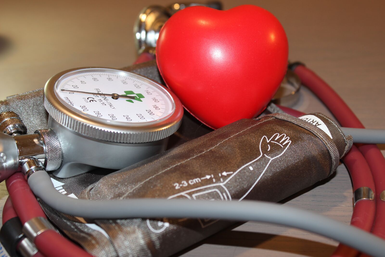 Canon EOS 600D (Rebel EOS T3i / EOS Kiss X5) sample photo. Blood pressure, hypertension, heart photography