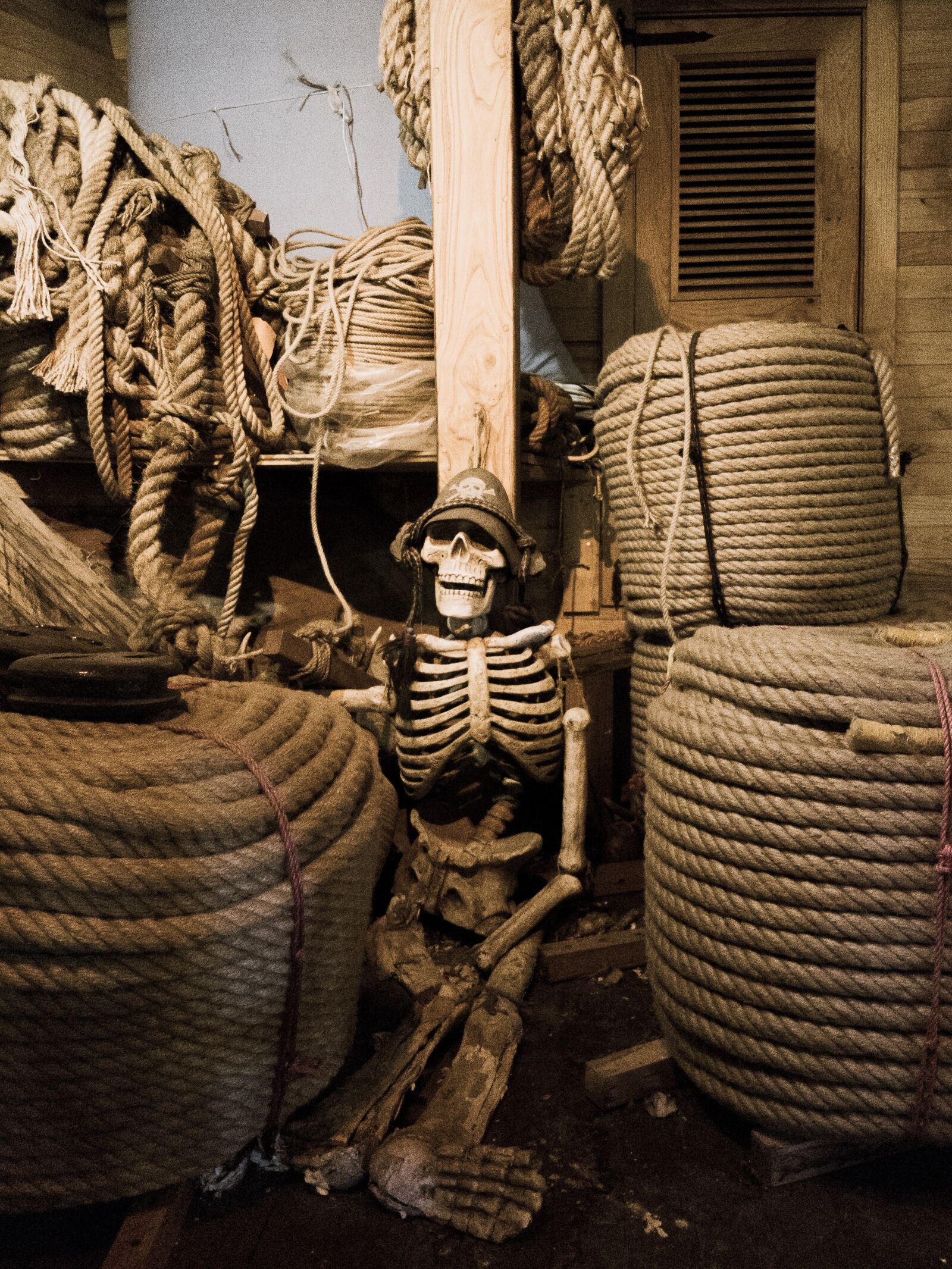Samsung Galaxy S7 Edge Rear Camera sample photo. Skeleton, skull, pirate photography