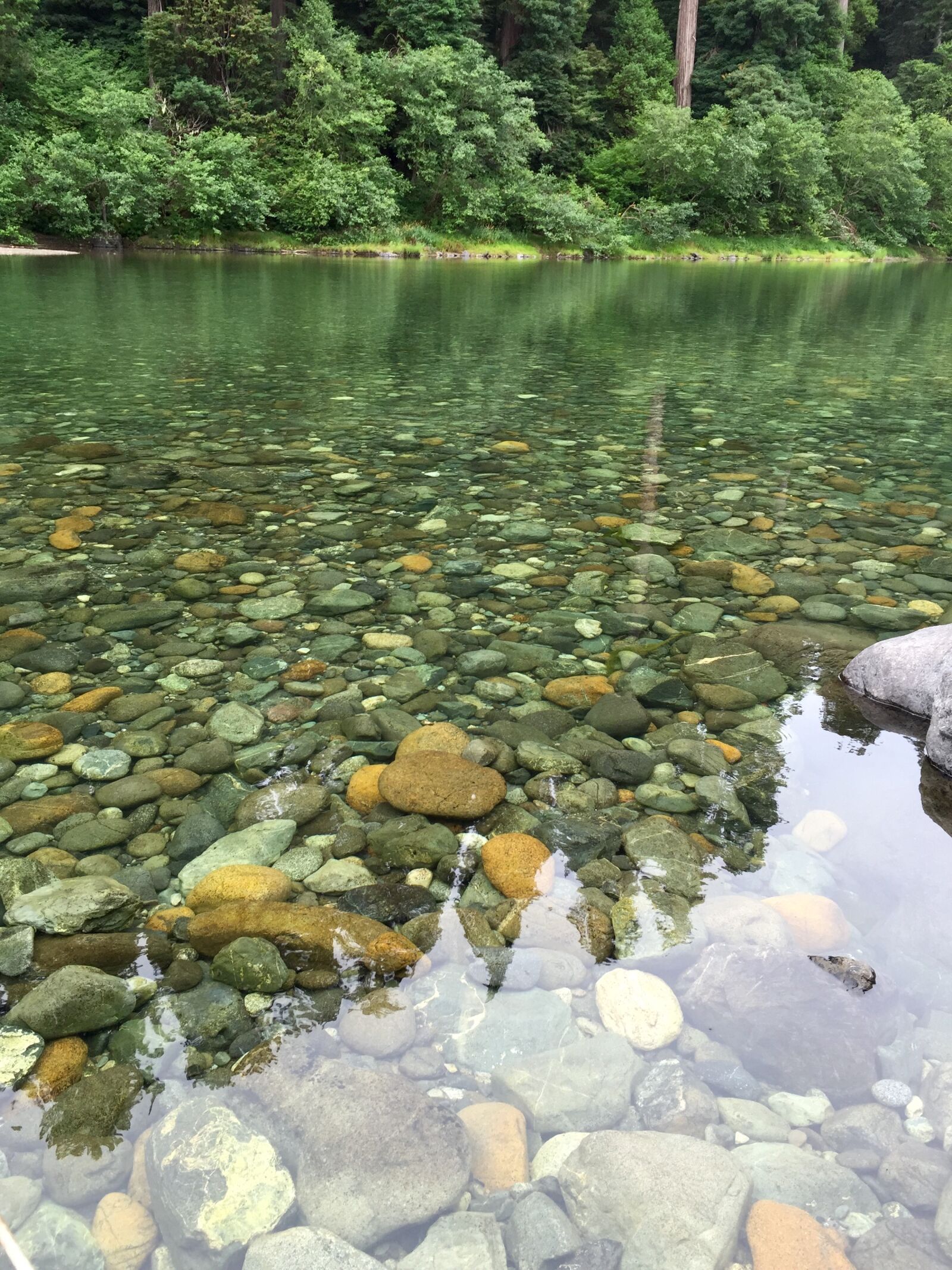 iPhone 6 Plus back camera 4.15mm f/2.2 sample photo. Clearwater, river photography