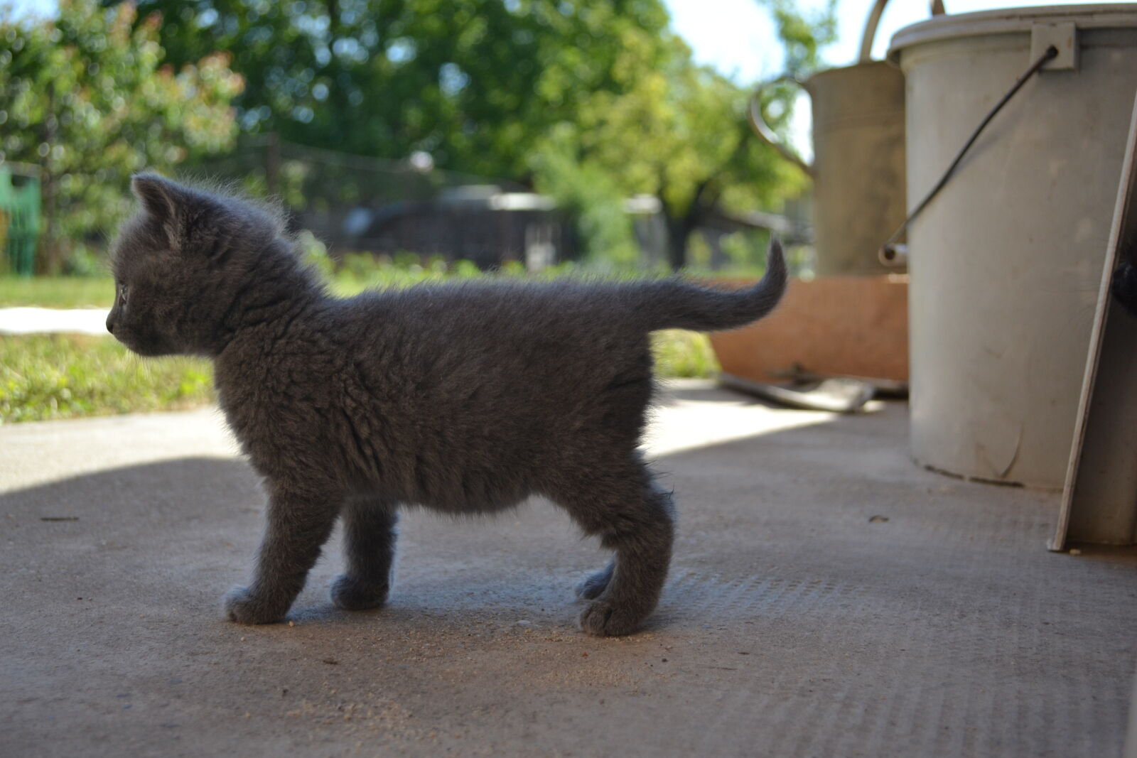 Nikon D3100 sample photo