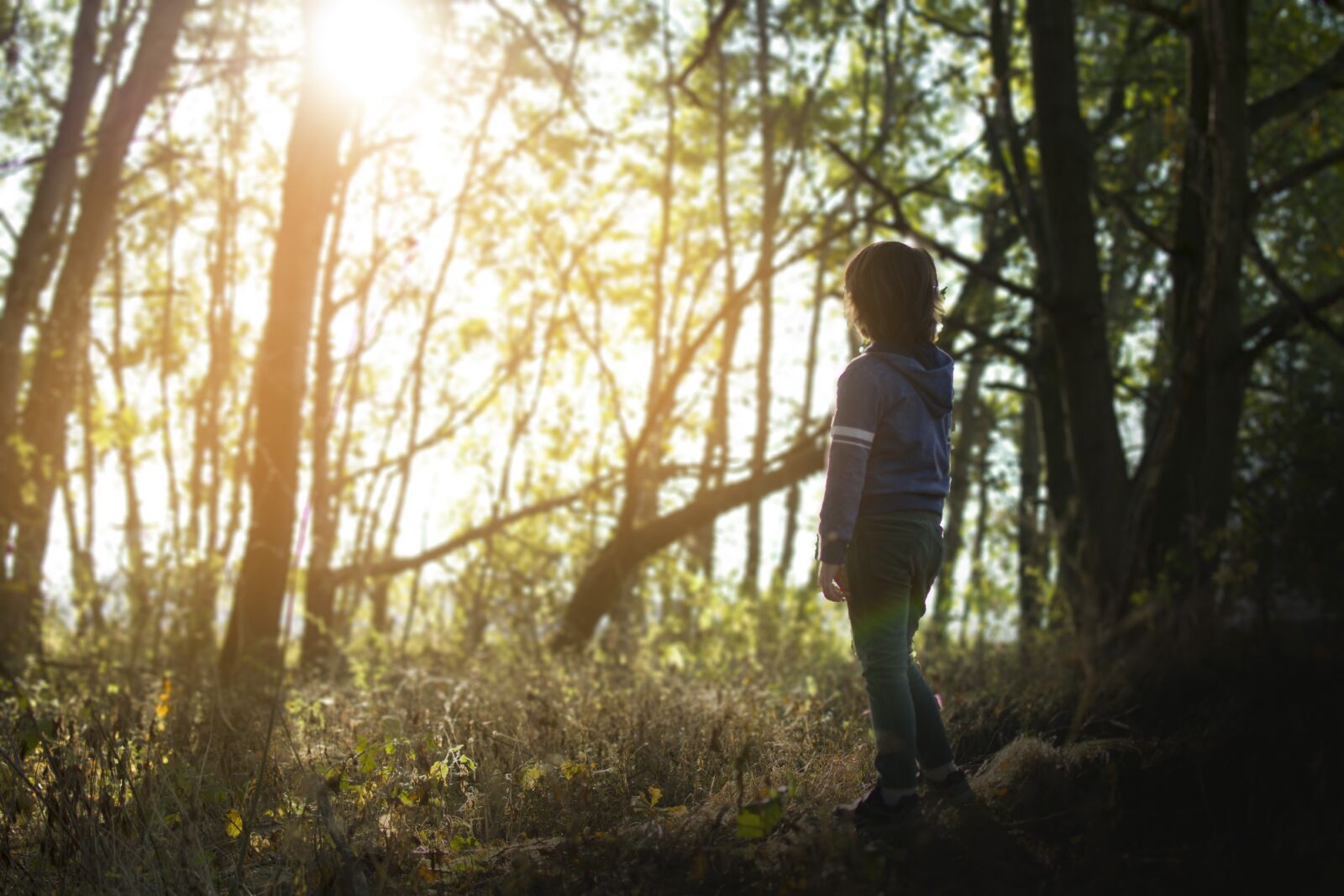 Nikon D3100 sample photo. Forest, sister, children photography