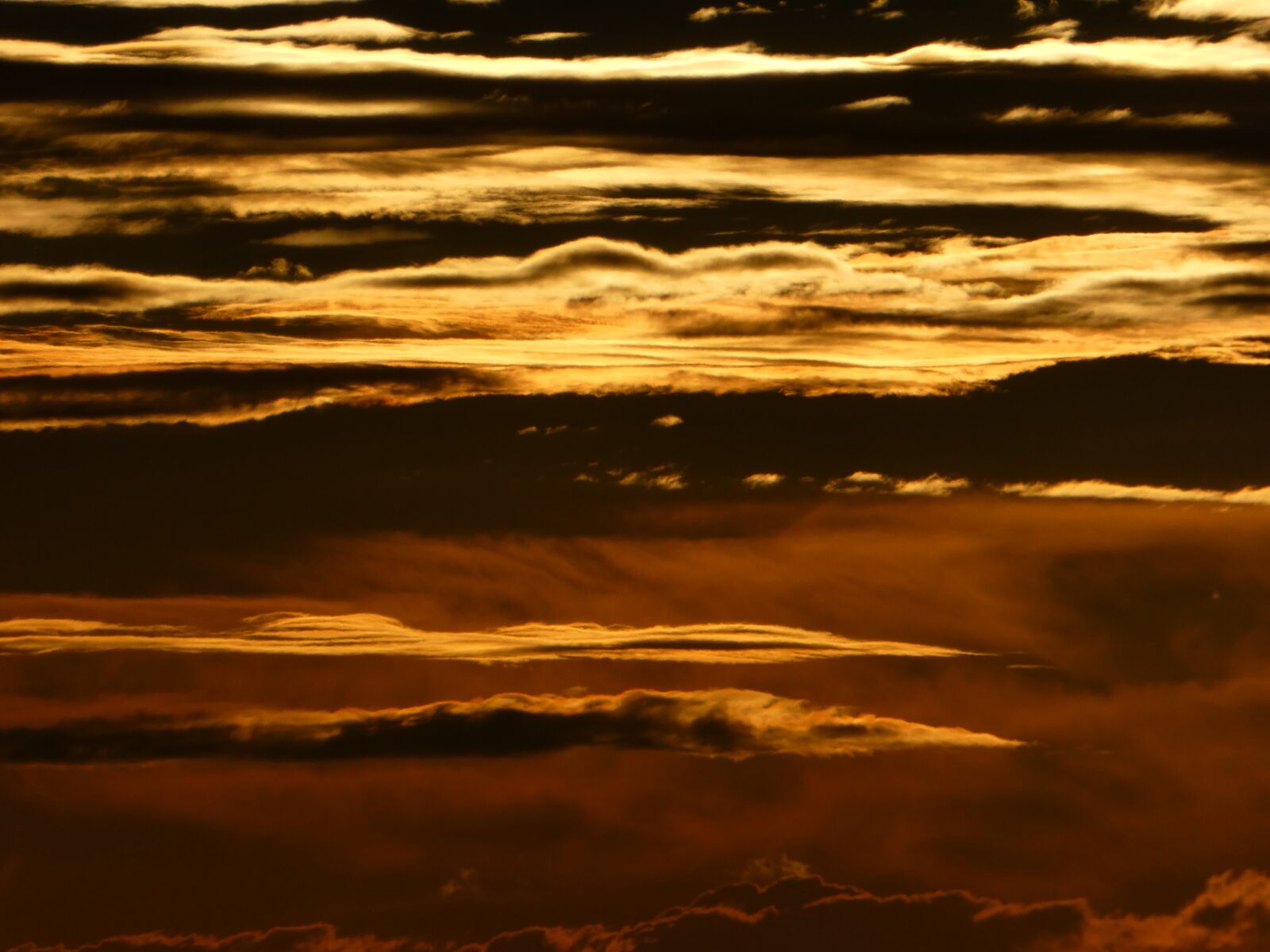 Panasonic DMC-TZ81 sample photo. Unique, gold, sky photography
