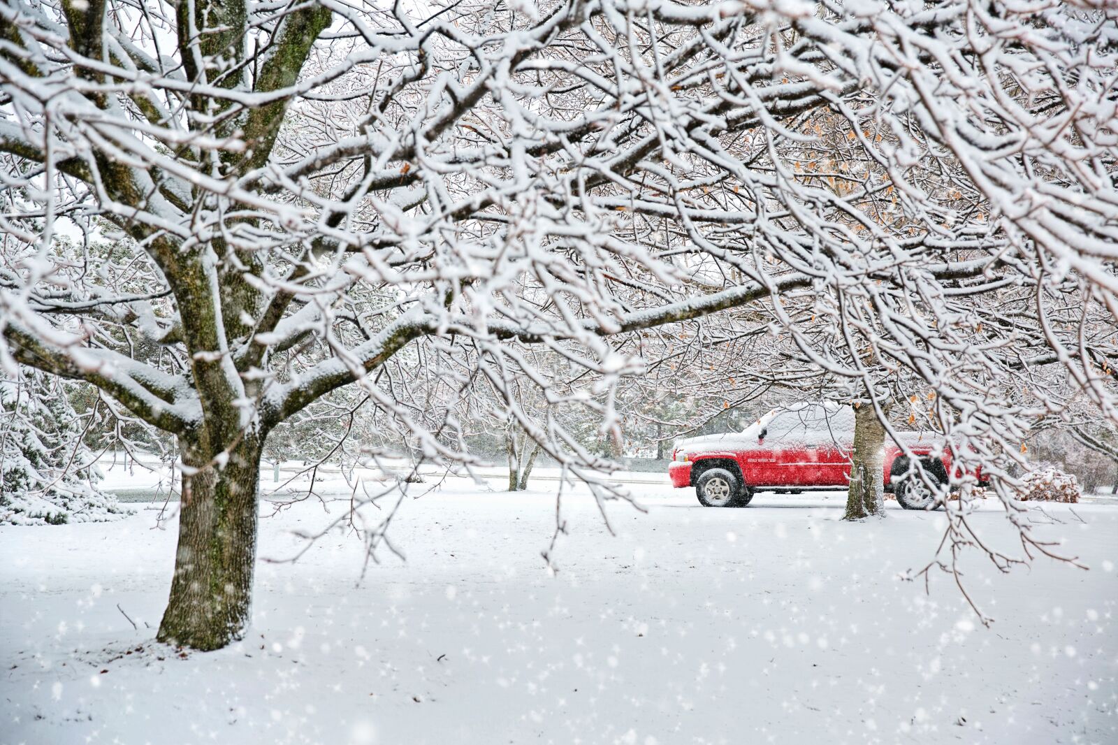 Canon EF 24-70mm F2.8L II USM sample photo. Snow, snowy, winter photography