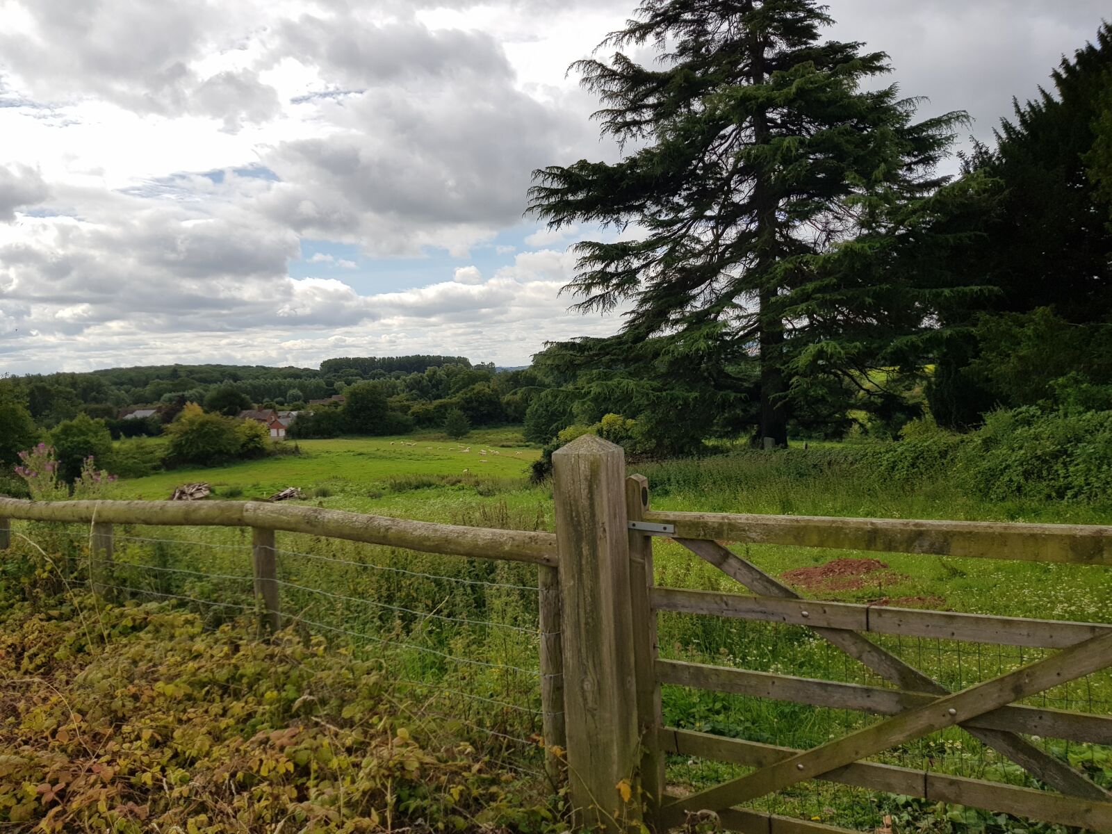 Samsung SM-G955F sample photo. Countryside, field, gate photography