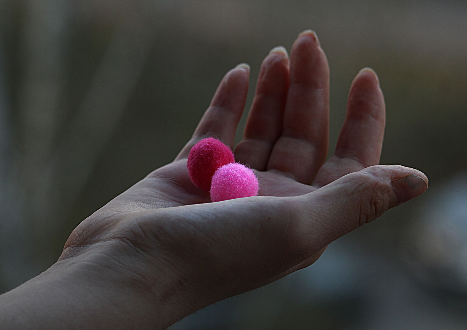 Canon EOS 1200D (EOS Rebel T5 / EOS Kiss X70 / EOS Hi) sample photo. Hand, brush, art photography